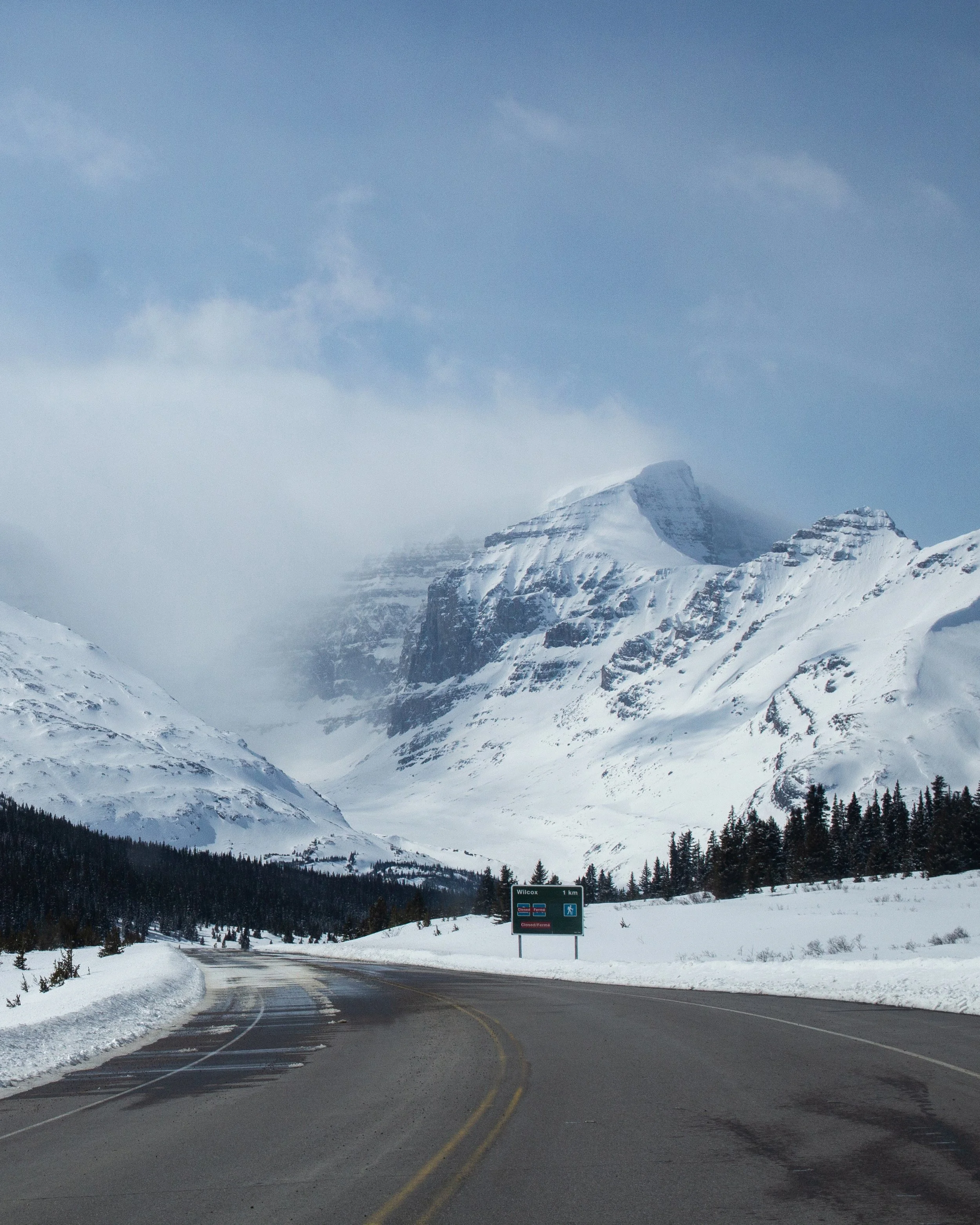 Icefields 2.JPG