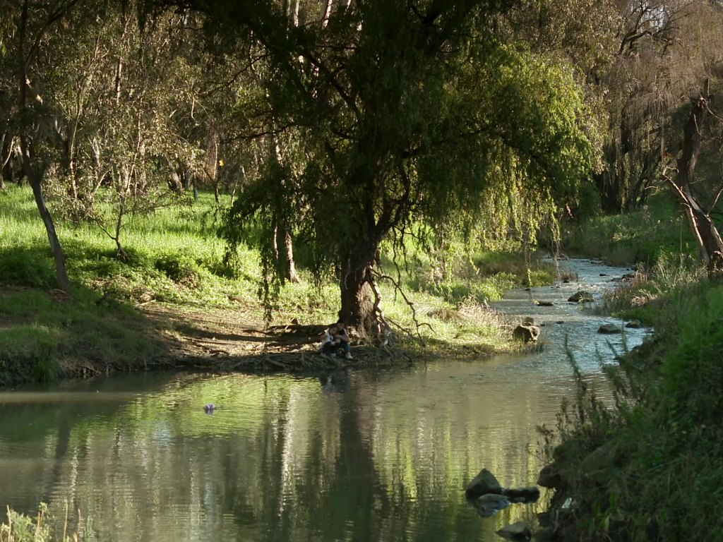 vlcsnap-2023-04-25-13h51m46s916.png