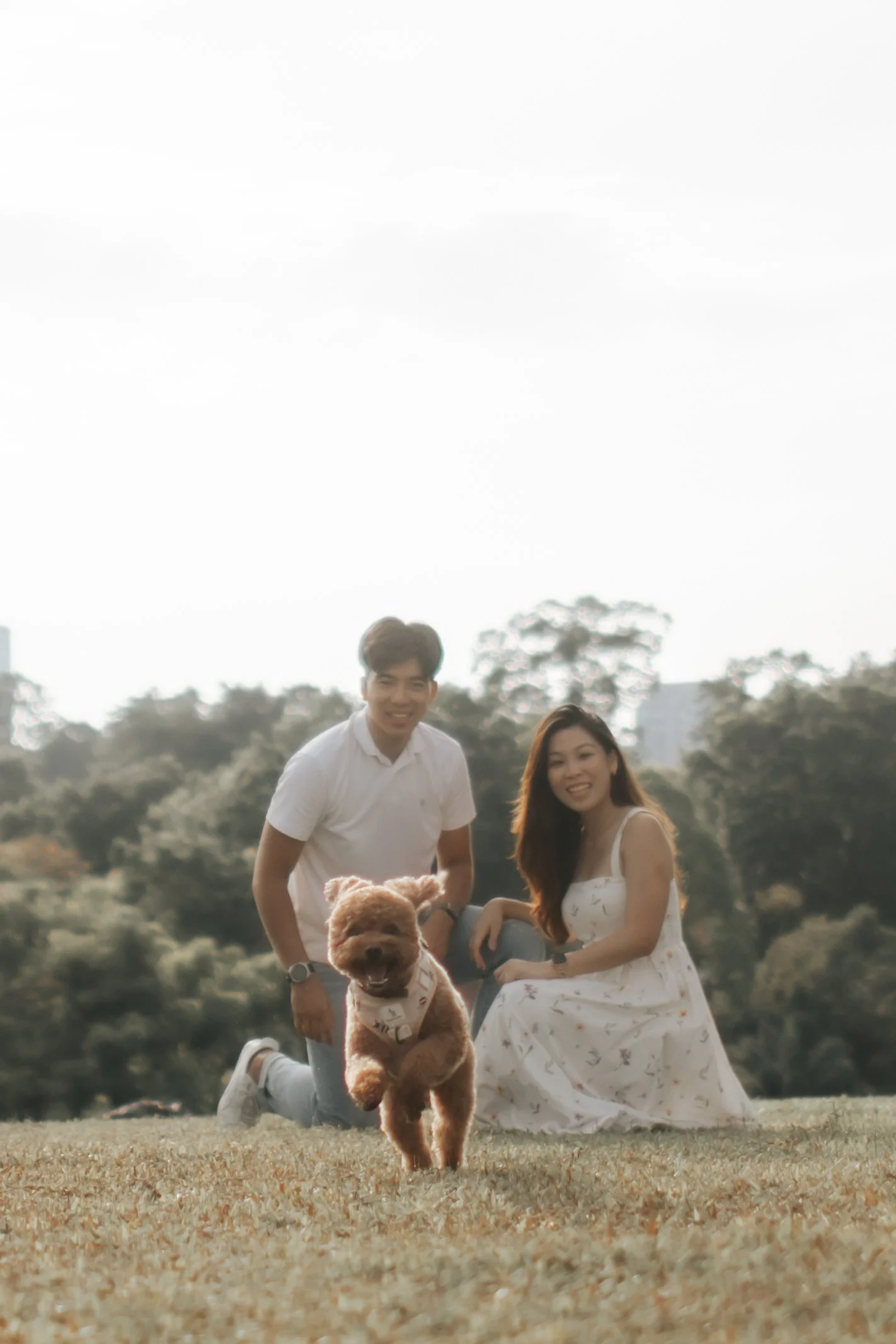 Light and airy pre-wedding photoshoot with pet dog running freely at Gallop Extension. Captured by Breadandbutterworks.