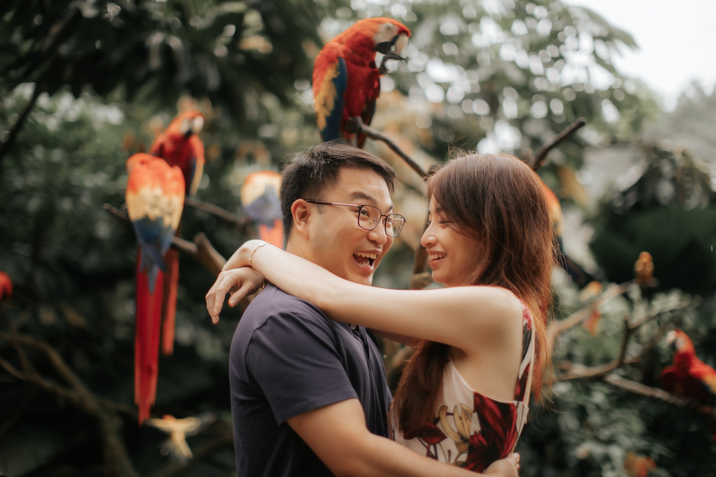 Romantic proposal photoshoot at Jurong Bird Park (now known as Bird Paradise) in Singapore, captured by Ash from Breadandbutterworks.
