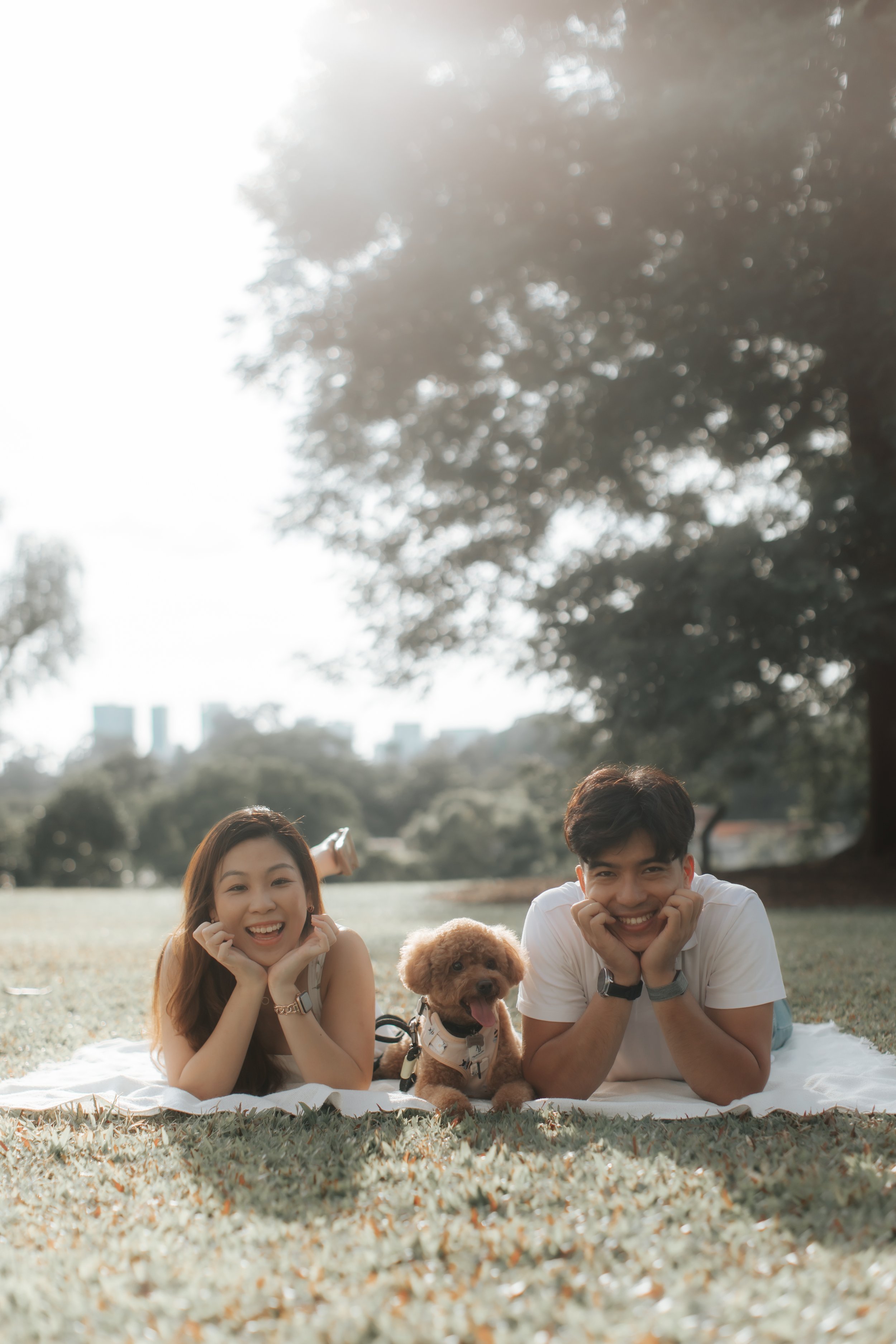 Light and airy pre-wedding photoshoot with pet dog lying on a picnic mat at Gallop Extension. Captured by Breadandbutterworks.