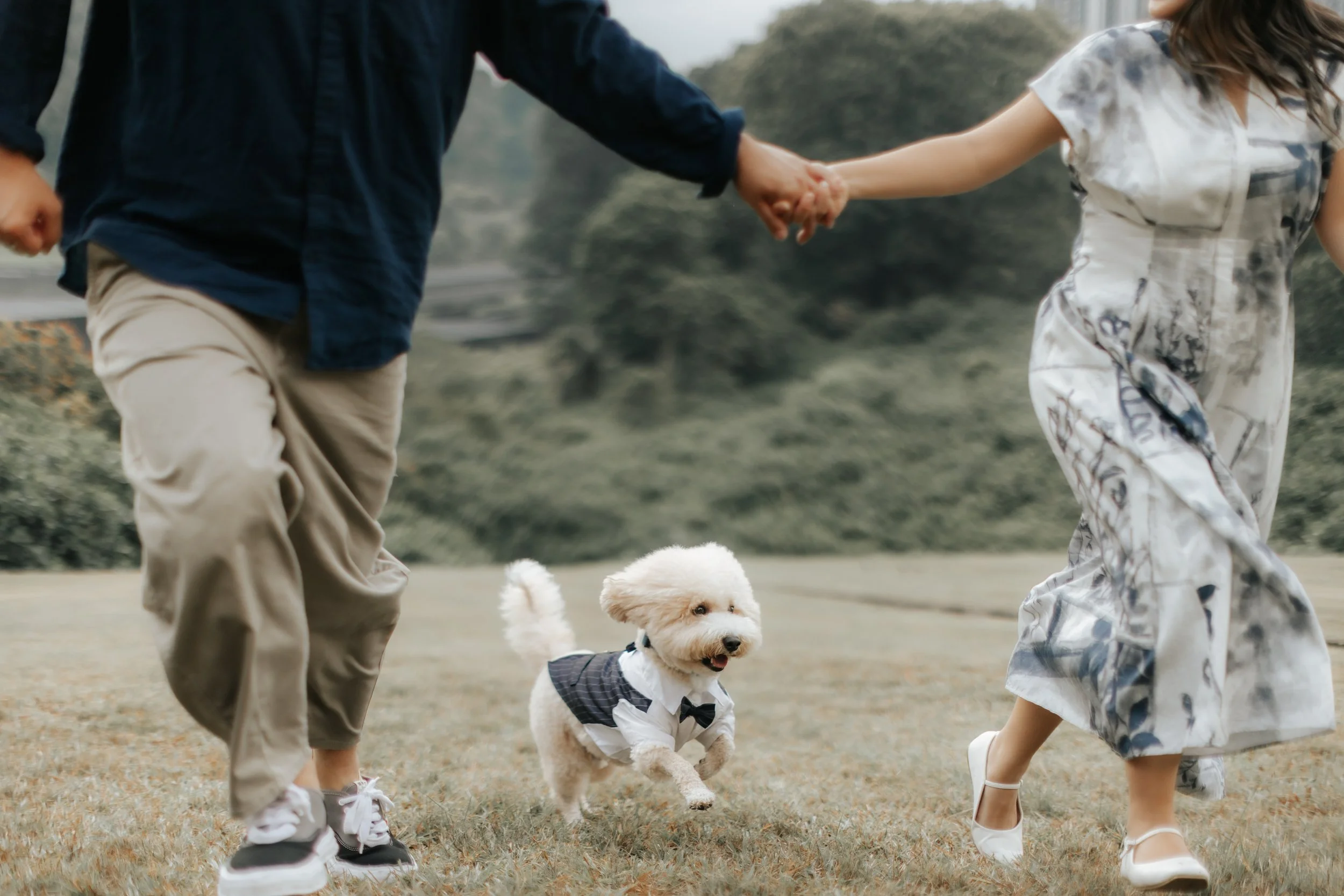 Outdoor pre-wedding photo of a couple walking hand in hand with their dog excitedly running alongside them in a lush green field, captured by Breadandbutterworks in a soft and heartfelt style.