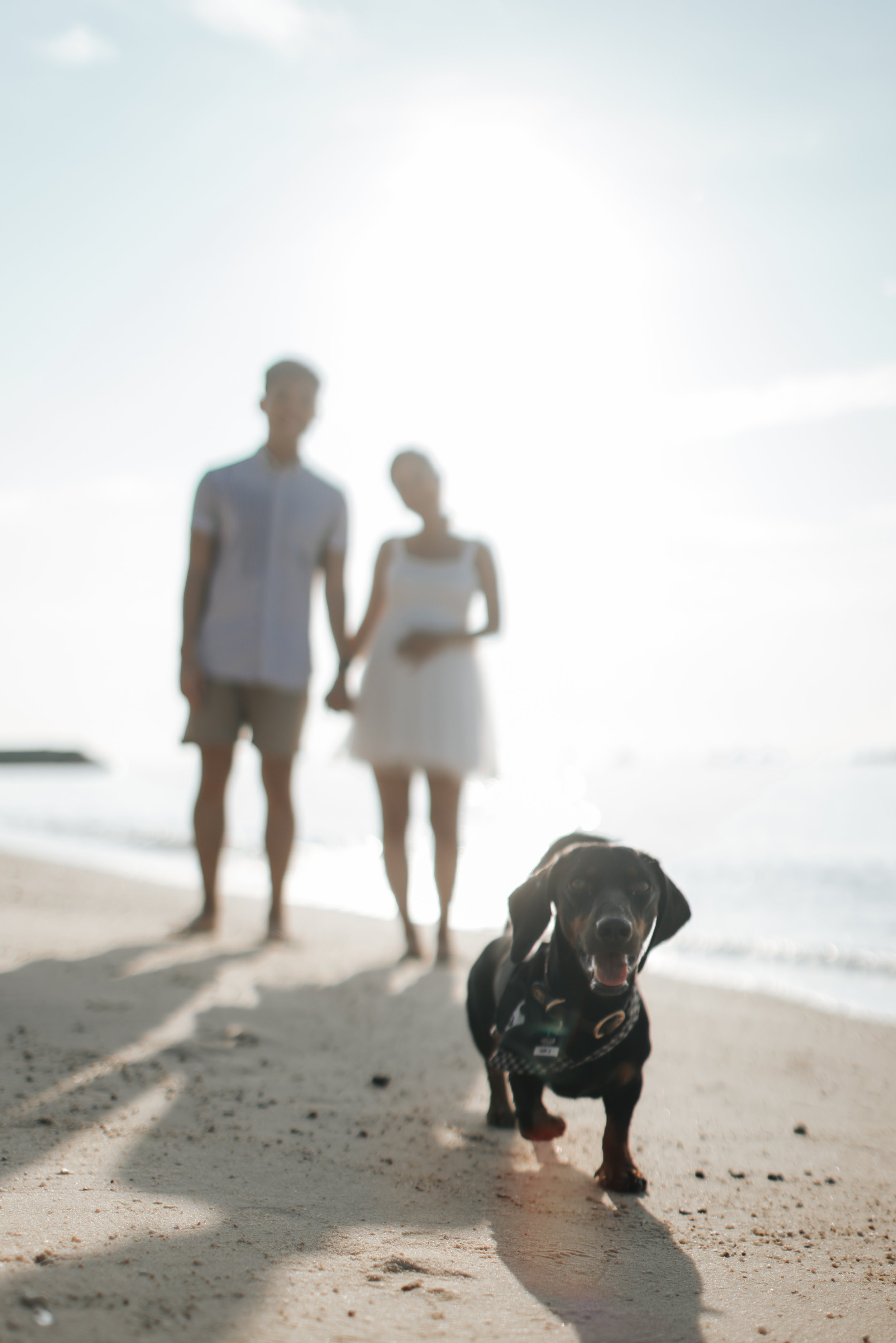 Light and airy maternity beach photoshoot at East Coast Park with a pet dog, captured by Arielle for Breadandbutterworks.