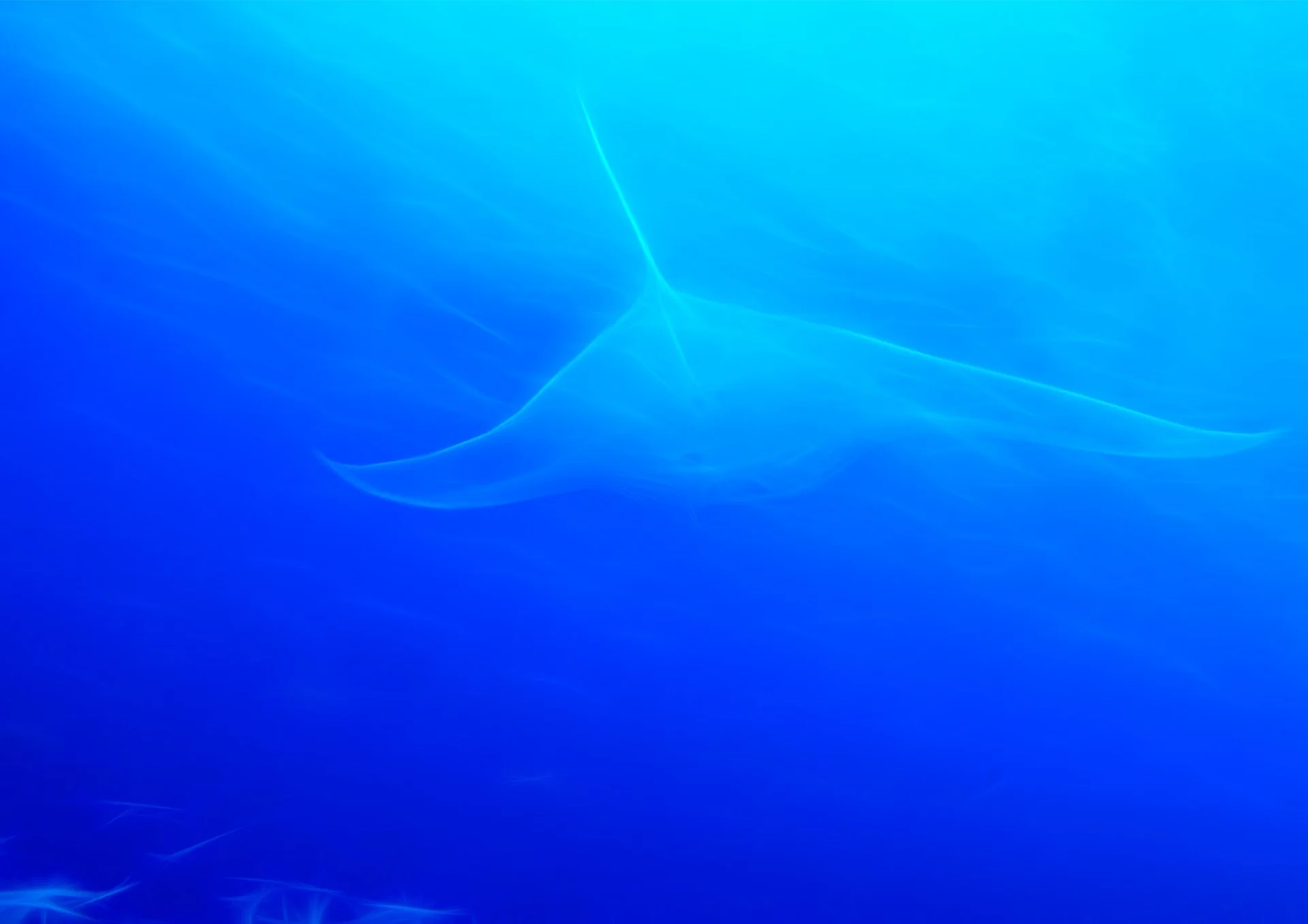 Under Water Art for Plumeria