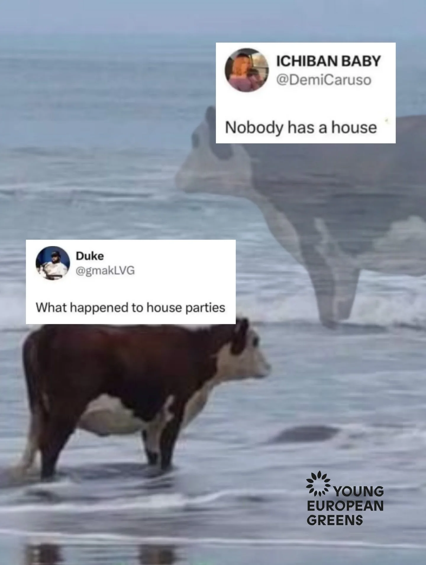 Across Europe, young people, low-income families, disabled people, migrants, racialised communities and many others are being pushed into precarity due to speculation, soaring rents, stagnant wages and inaccessible housing markets. 

This is a politi