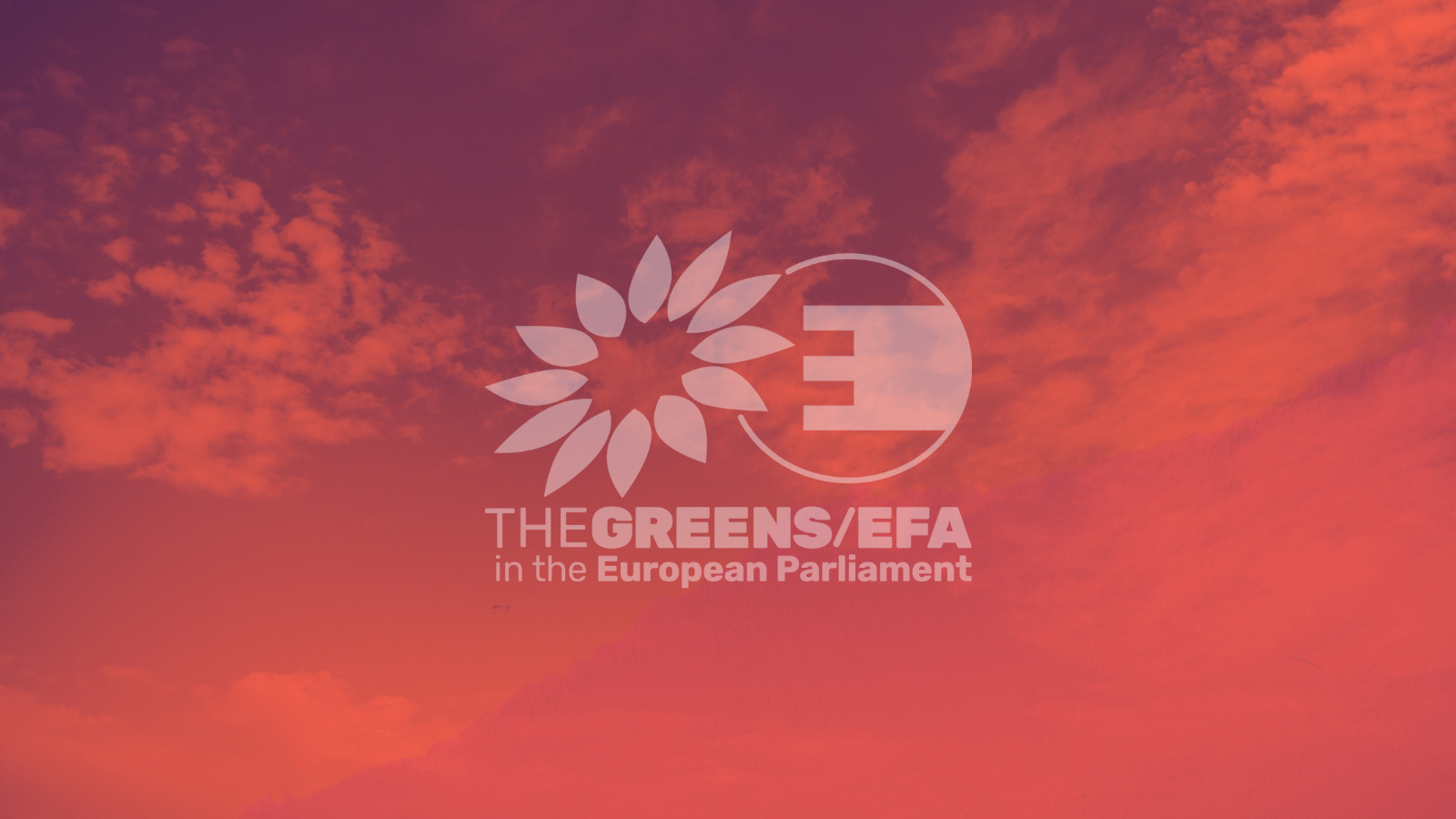 Call for Intern: Projects and Outreach — Young European Greens