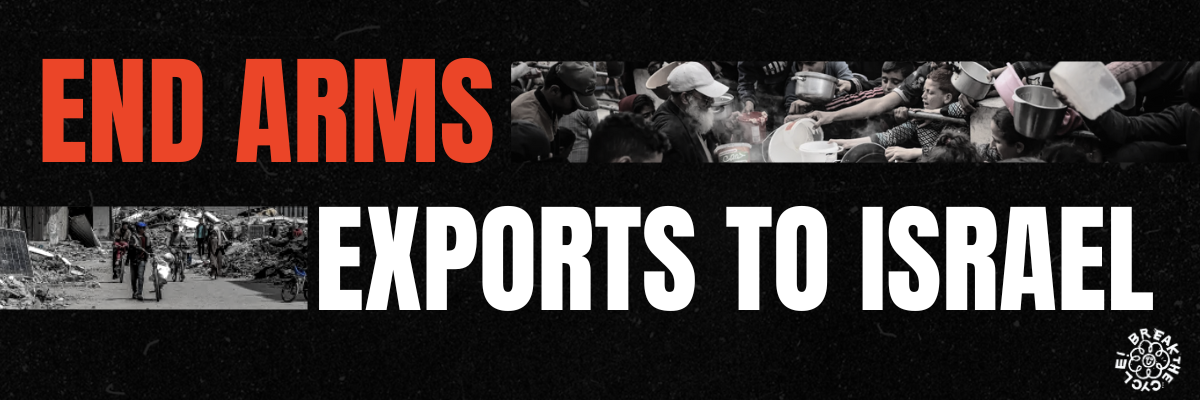 Ban Weapons Exports to Israel — Young European Greens