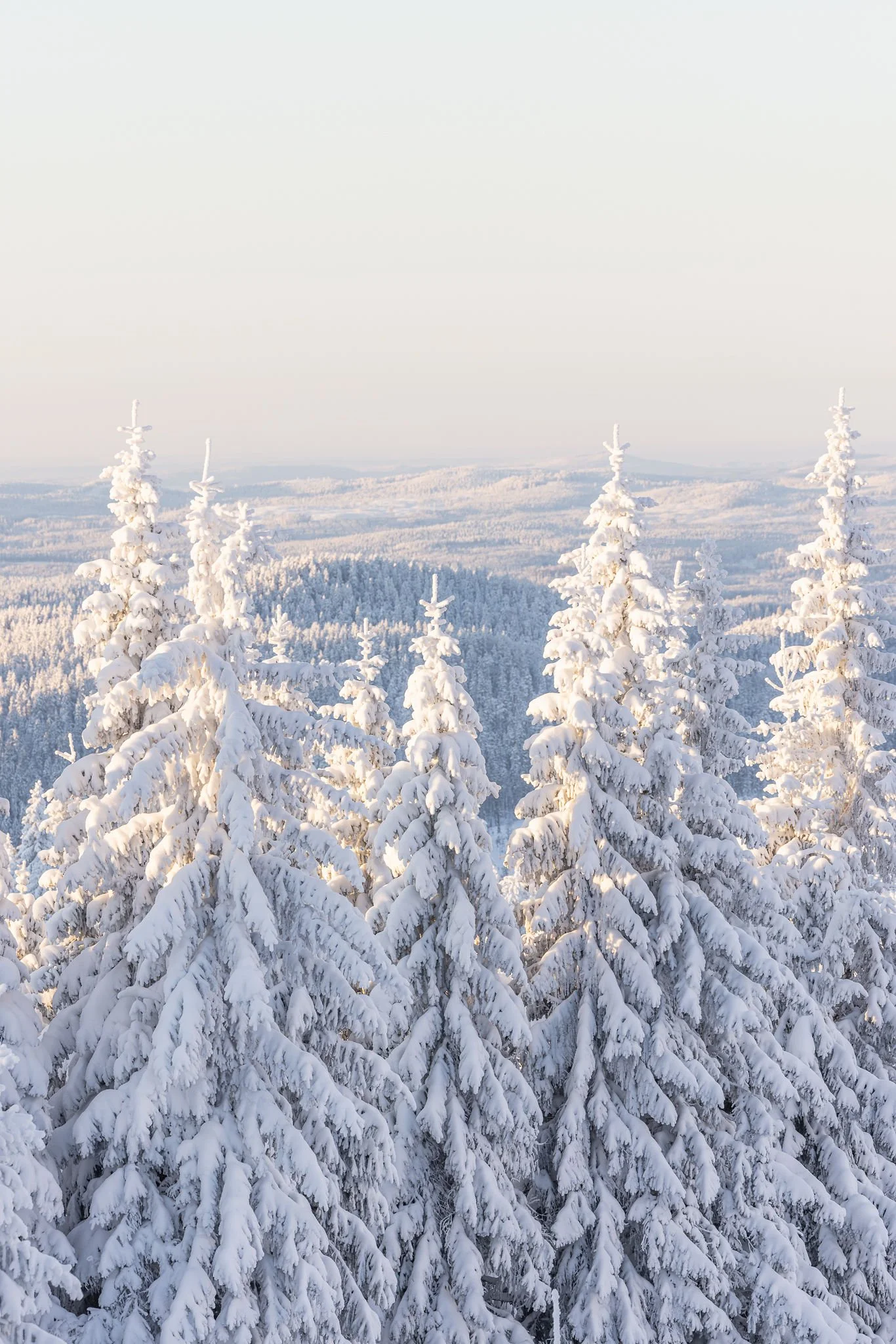 Retreat för nervsystemet och naturen – VATTEN- OCH FRYSNÄTTEN