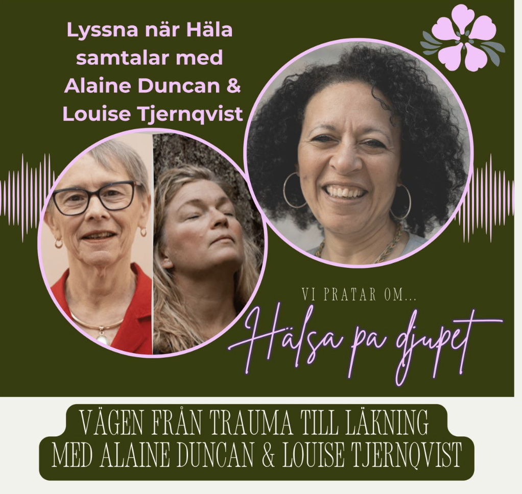The Whole Human: Exploring the Five Elements, Trauma, and Functional Medicine