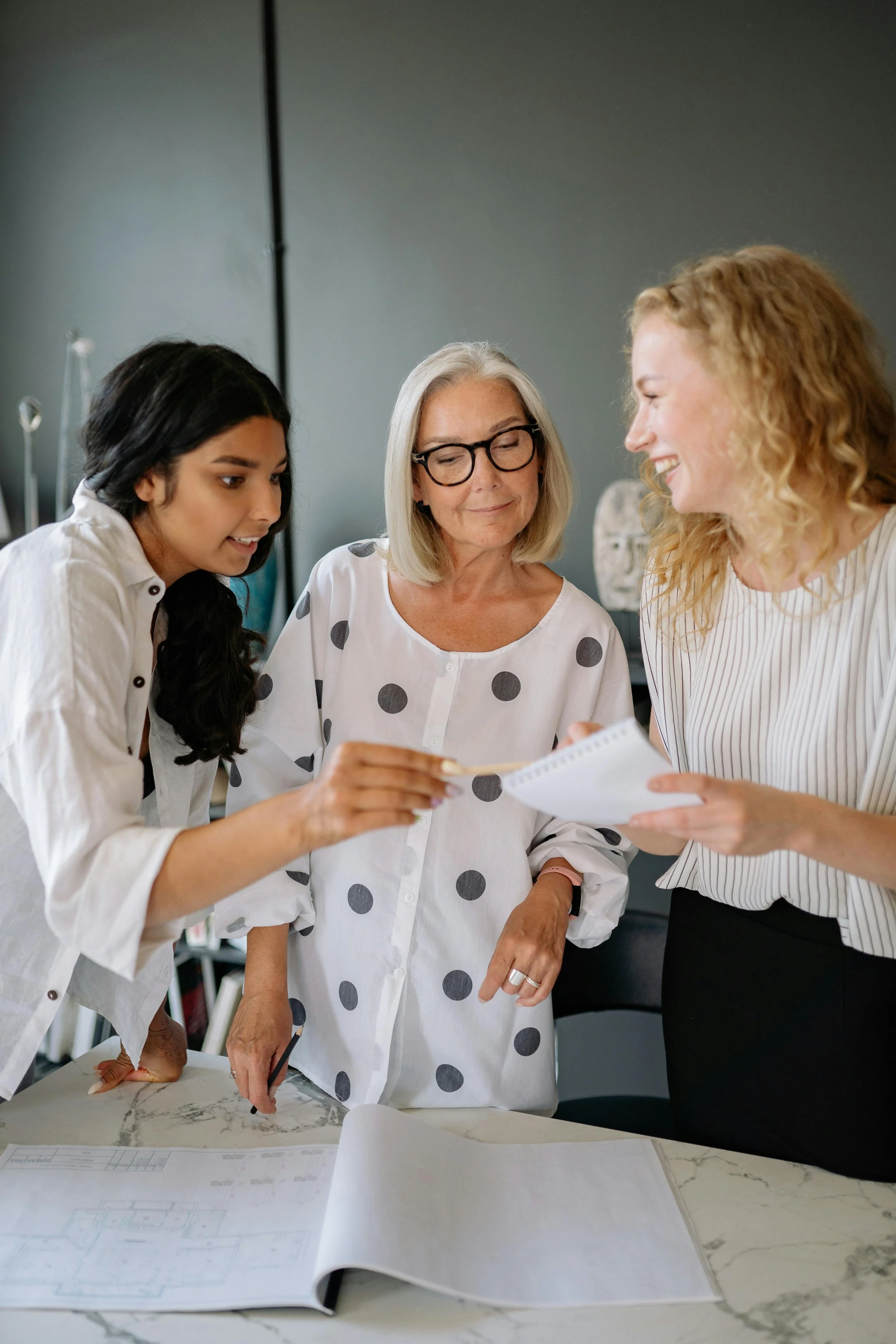 Boxnote: The Imperative of a Longevity Strategy for Growth