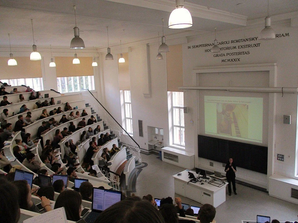 Entwicklungspsychologie thematisiert aufeinander aufbauende Veränderungen des menschlichen Erlebens und Verhaltens - hier mit Univ.-Prof. Dr. Stefanie Höhl im Hirnforschungszentrum der Uni Wien.
