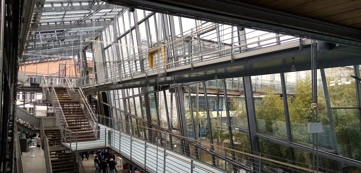 Medienpsychologie und Digital Business an der Technischen Hochschule Ingolstadt