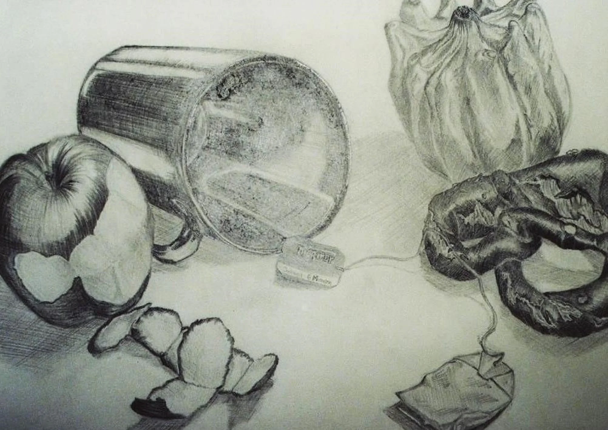 Darstellung organischer Objekte nach Vorlage: Der 2. Teil der Aufnahmeprüfung an der FOS Gestaltung.