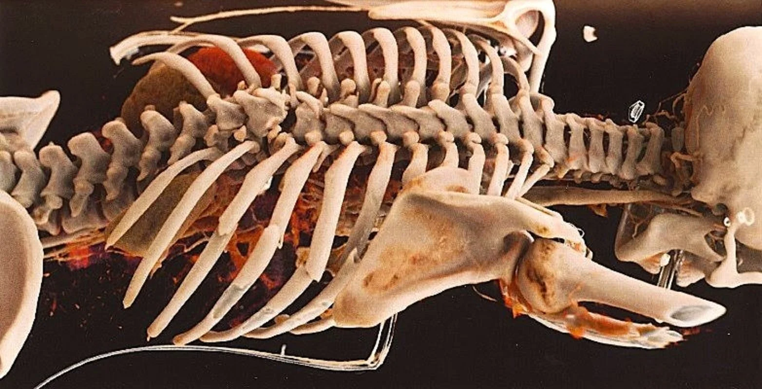 JKU Linz: 3D-Visualisierung mit „Cinematic Rendering“ von Univ.-Prof. Dr. Fellner