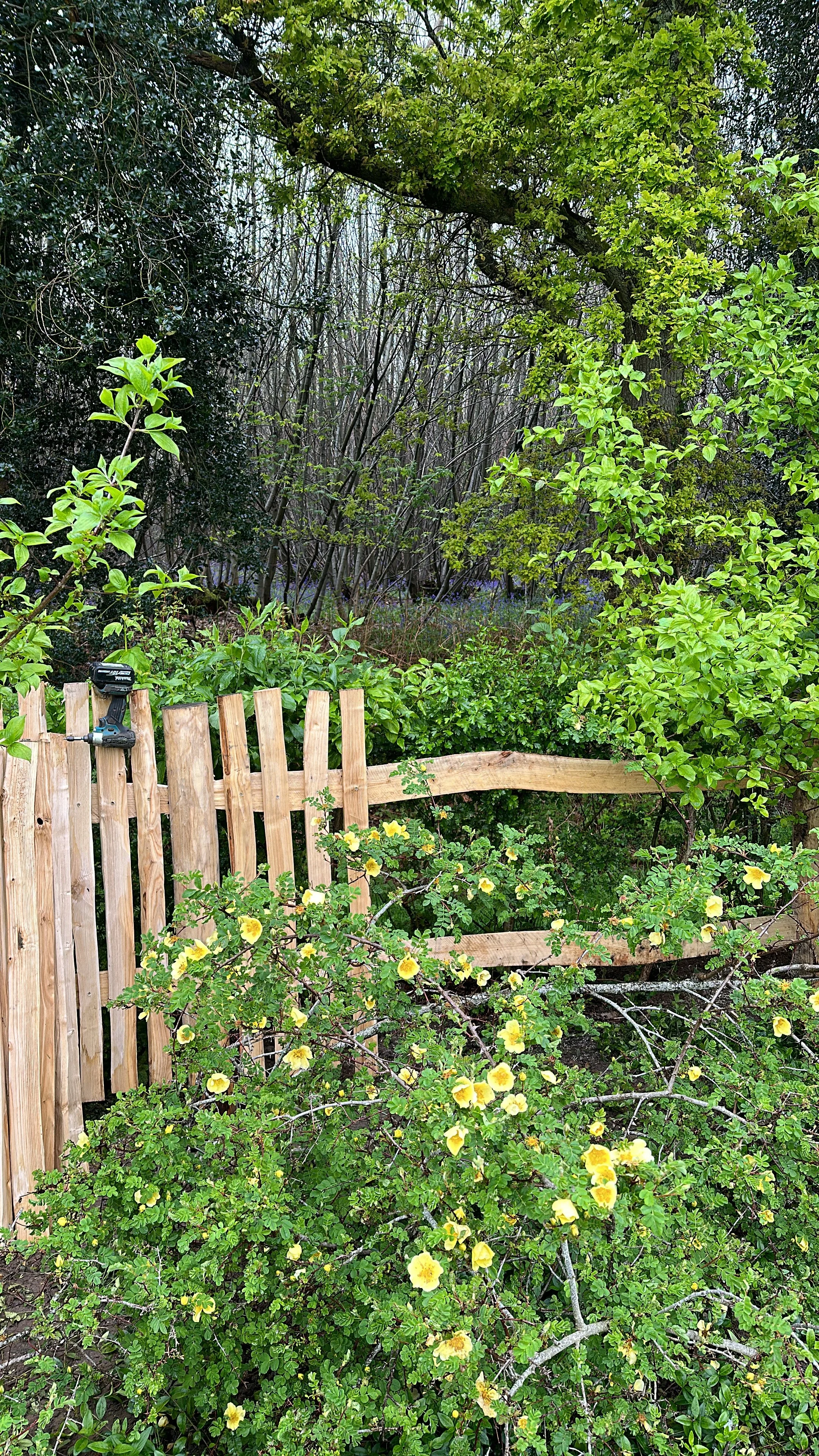 EAE8C118-3E0B-4ACE-B091-EF714E9D429C 2.JPG