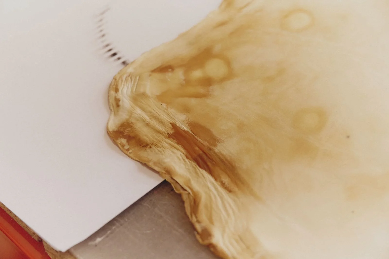 natural beige textile sample  made of mycelium