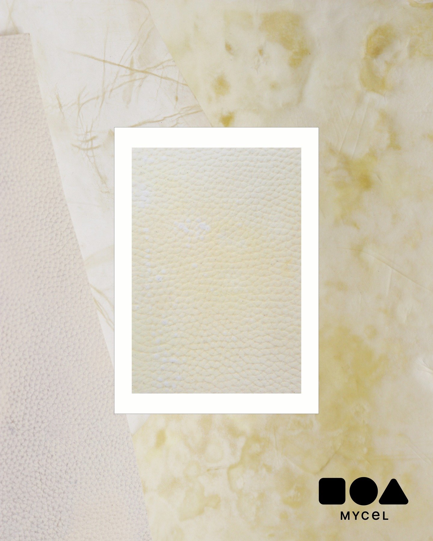 Another beautiful colour and texture from @mycelinc. Here natural colour variation and patina patterns are celebrated for their beauty and authenticity alongside a classic leather grain texture.
#MaterialsFirst #DesignShanghai #CMFdesign #MaterialInn