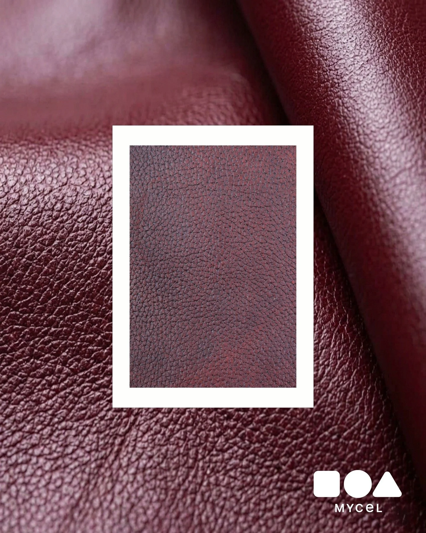 @mycelinc combine deep burgundy with a classic leather grain texture and an authentic patina that is grown not made. 
#MaterialsFirst #DesignShanghai #CMFdesign #MaterialInnovation #Mycelium #BioMaterials #CircularDesign #ChrisLefteri #MaterialStorie
