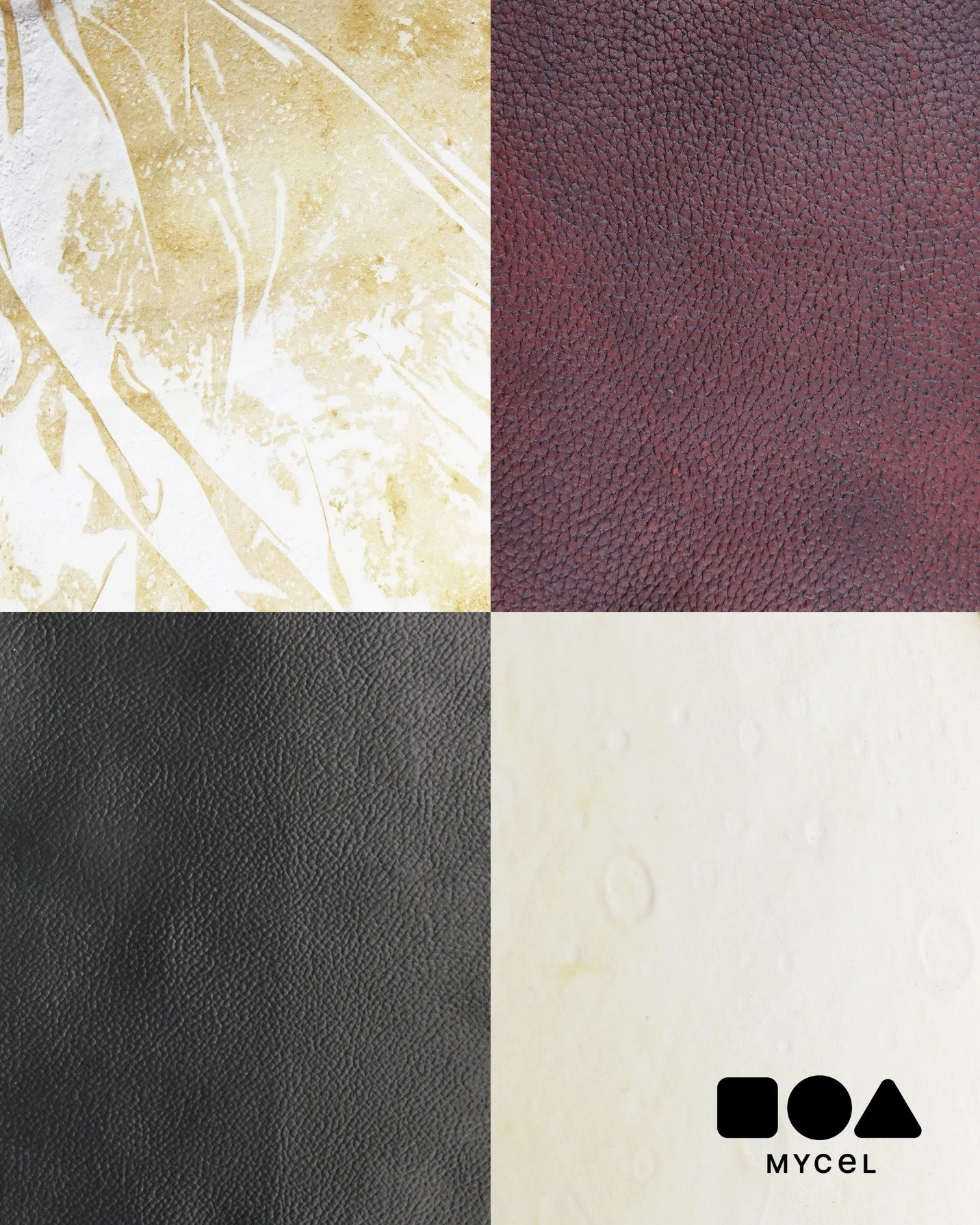 Beautiful textures and colours from @mycelinc are combined to showcase their unique similarities and differences. CMF that is grown, not made! 
#MaterialsFirst #CMFdesign #MaterialInnovation #Mycelium #BioMaterials #CircularDesign #ChrisLefteri #Mate