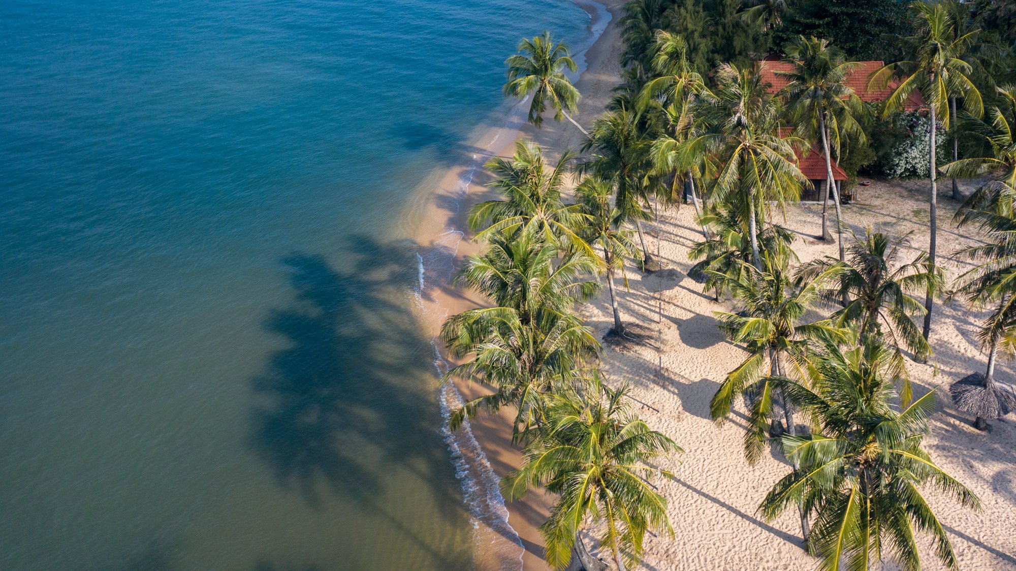 DJI_0304.jpg