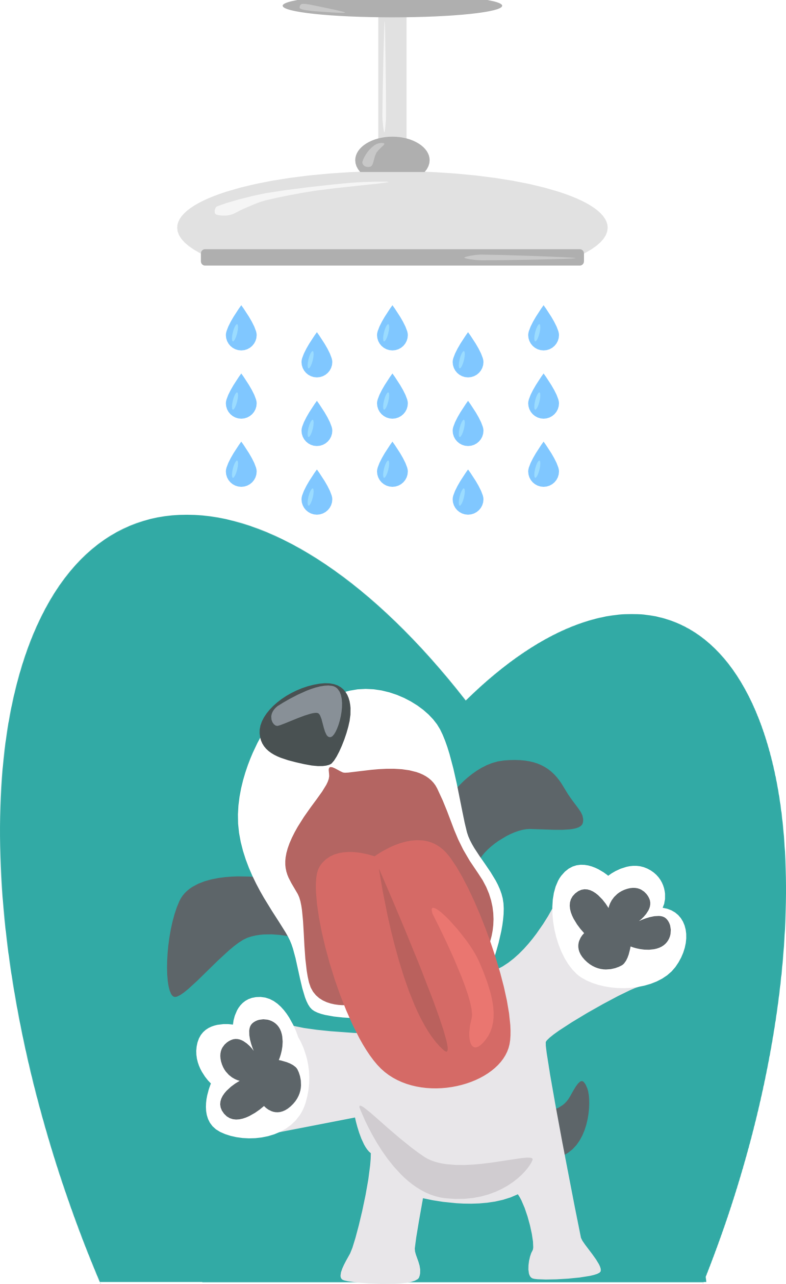 Dog Daycare — Acres 4 Dogs Dog Daycare for South West London & Surrey