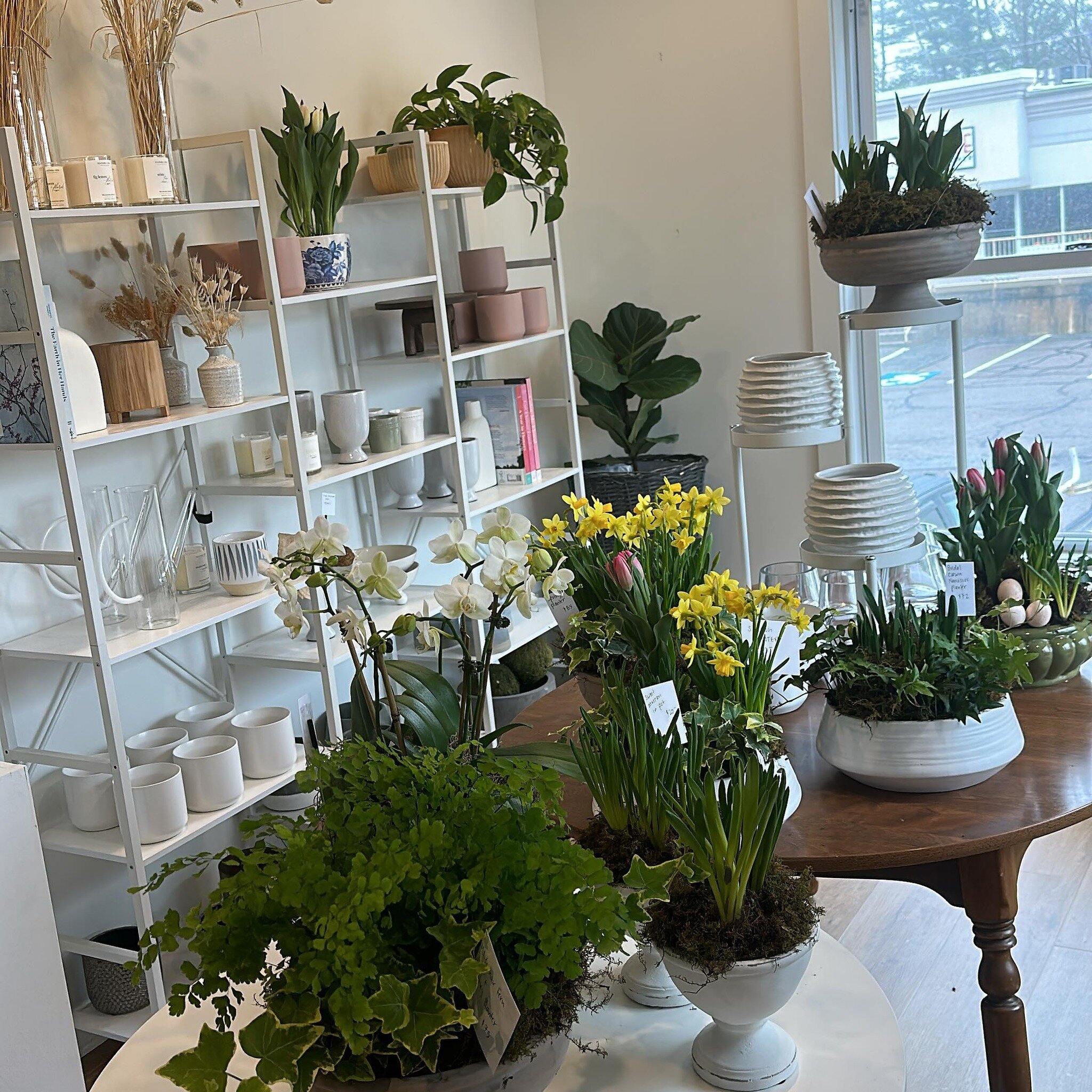 Signs of life back at the shop after taking some time off!  Shop will be open this Thurs, Fri and Sat in time to pick up some cute Easter planters or fresh flowers! 🐰 🐣