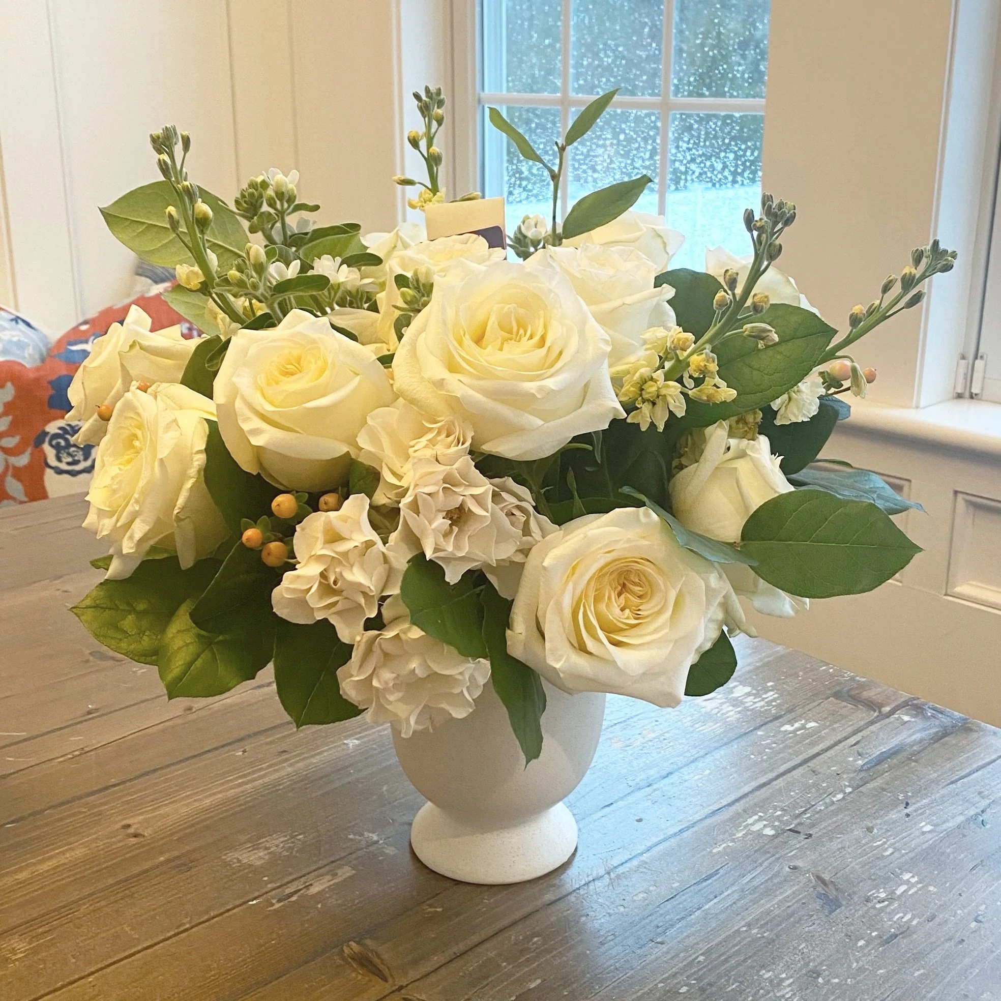 Petals — Petal and Root