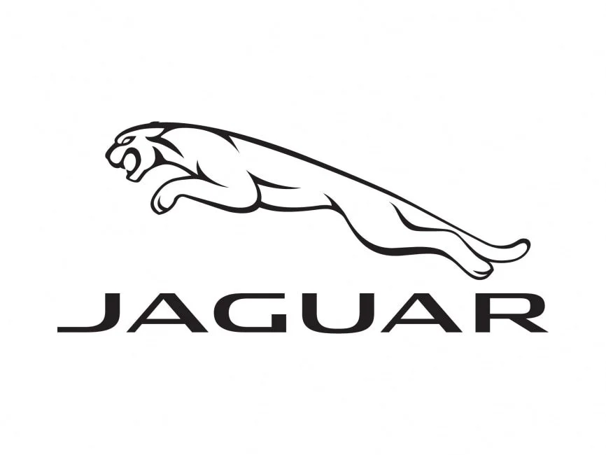 client-jaguar.jpeg