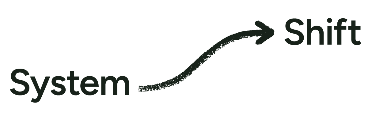 The System Innovation Initiative by the ROCKWOOL Foundation