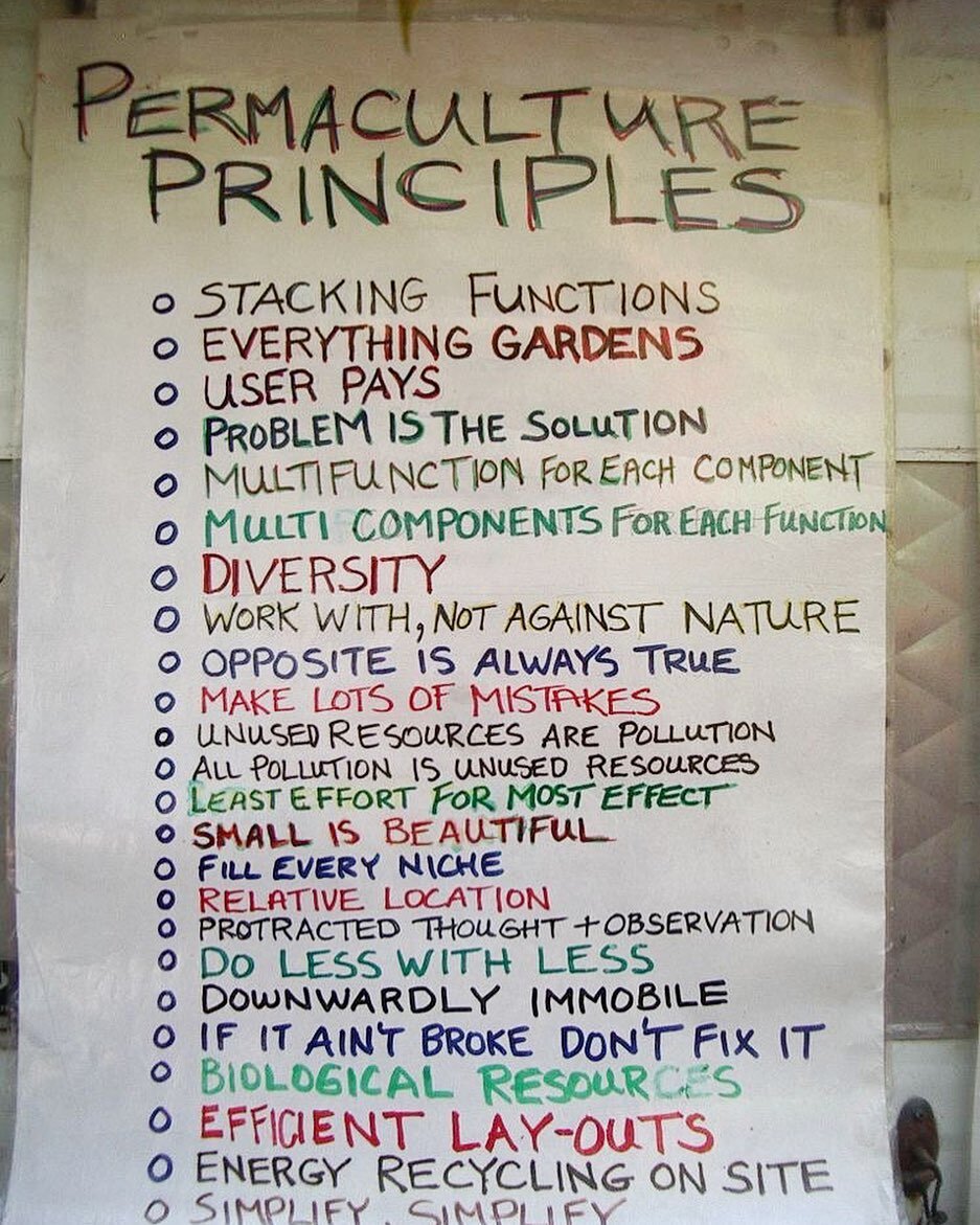 The perfect messiness of permaculture [life] and failing forwards- sometimes face first into a bag of rotting seaweed. 
 
By definition a design science, when we practice permaculture, it becomes in fact a commitment to reworking our lives from the b