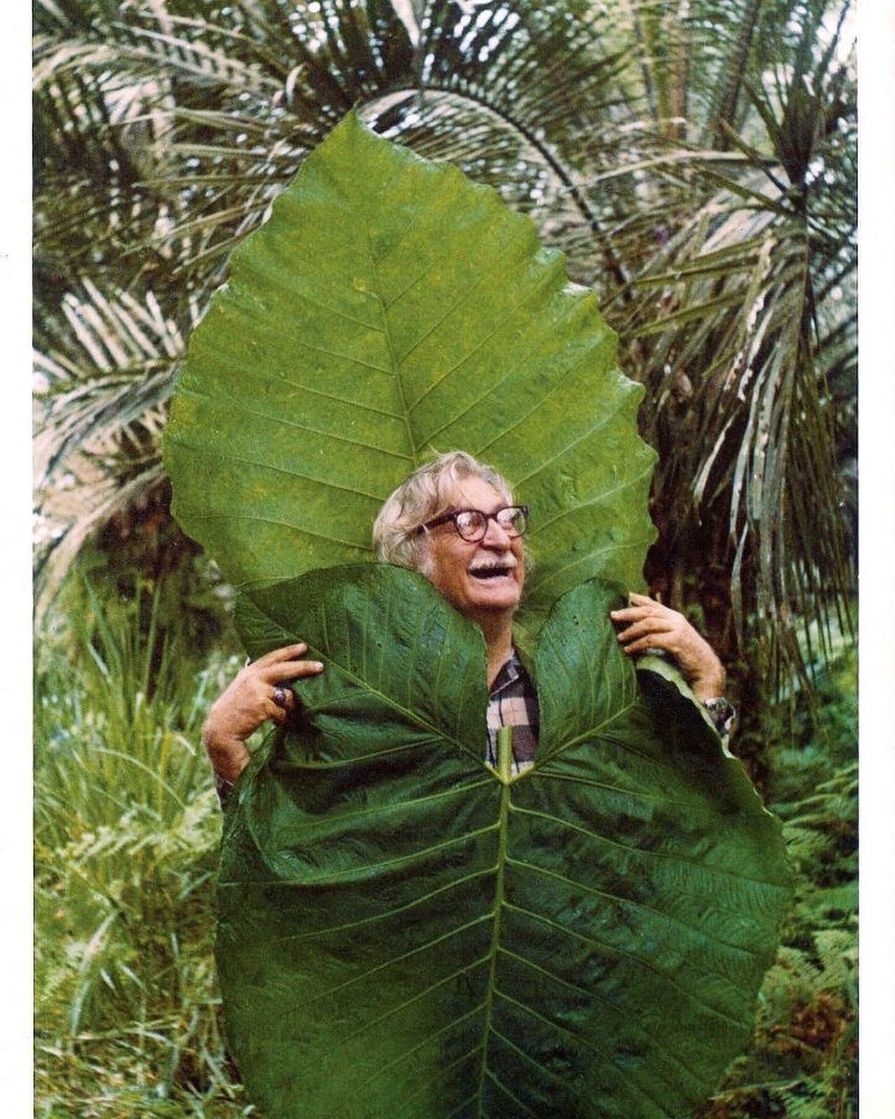 Visionary, revolutionary, genius. 

Roberto Burle Marx was the epitome of Modern in the truest sense. A man that existed ahead of his time, changing the way we think about landscapes. I&rsquo;ve been thinking a lot about a multi-disciplined approach 