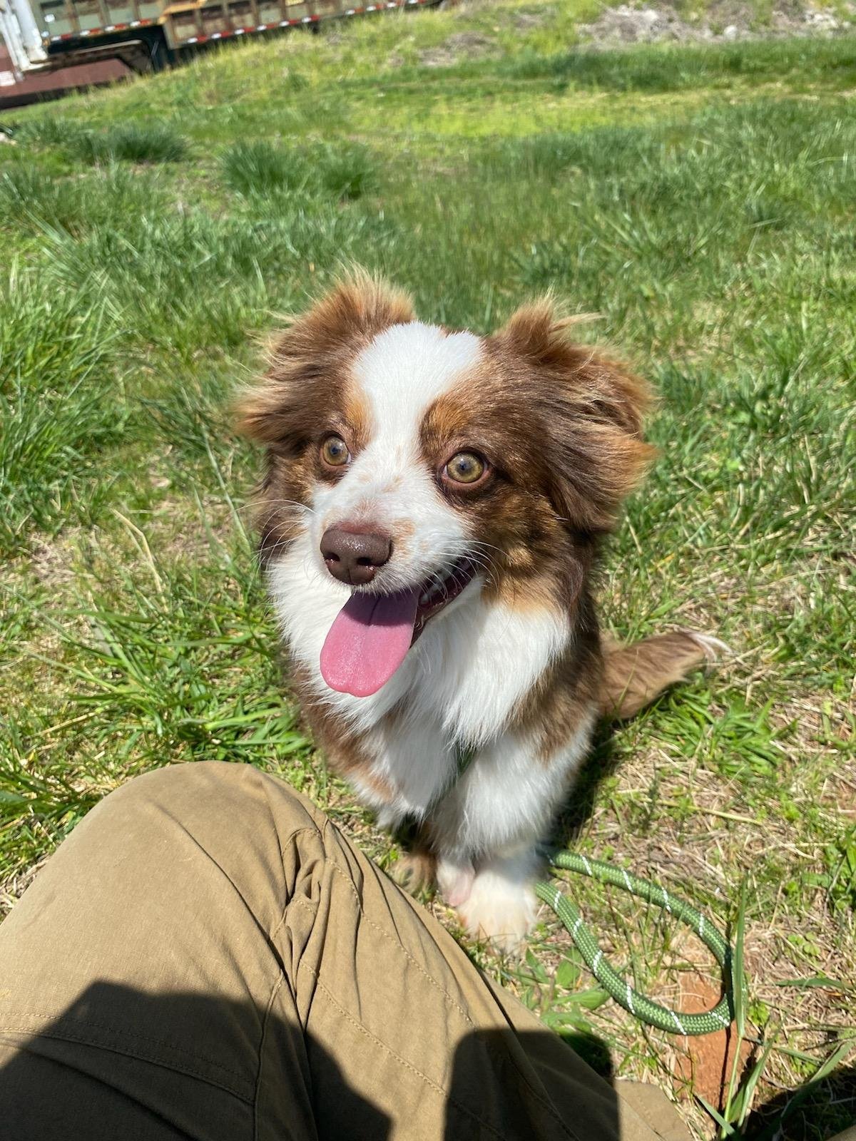 Georgie looking very happy!