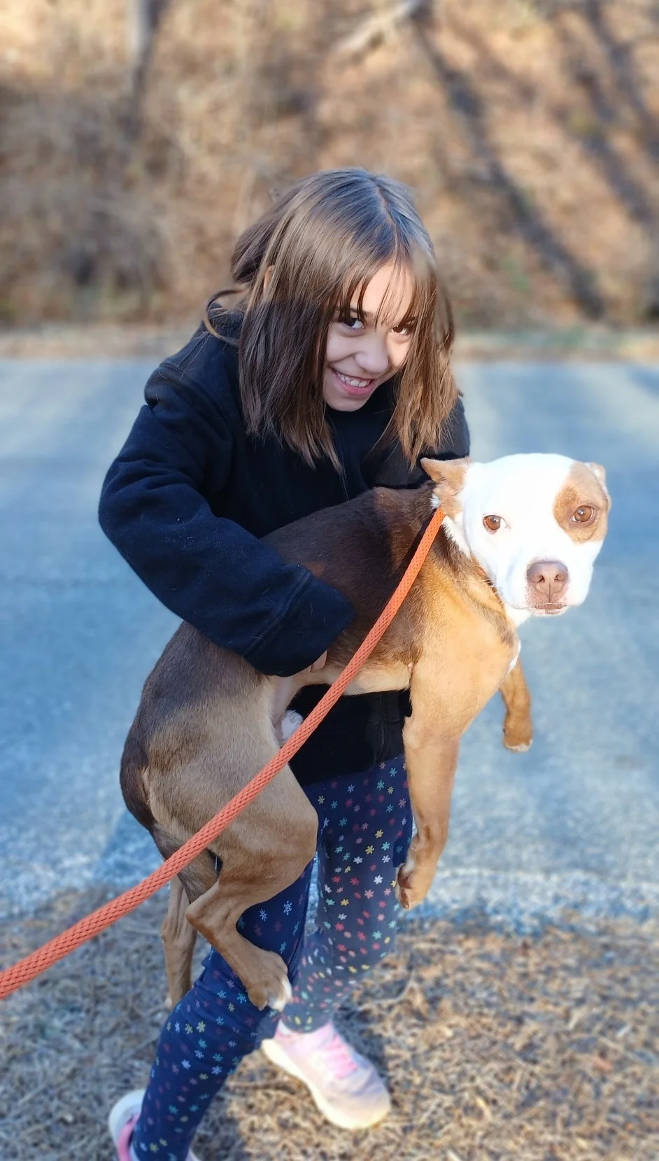 Goose wasn't gaining weight and had diarrhea.  He spent several weeks at the vet.  He had a UTI, prostatitis, and colitis.  He would not have survived much longer, if he hadn't been rescued!