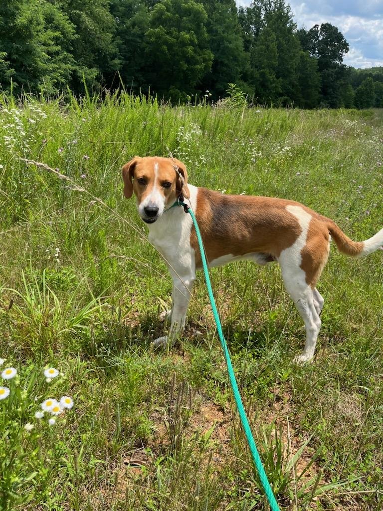 Porter: Very well behaved and beautiful!