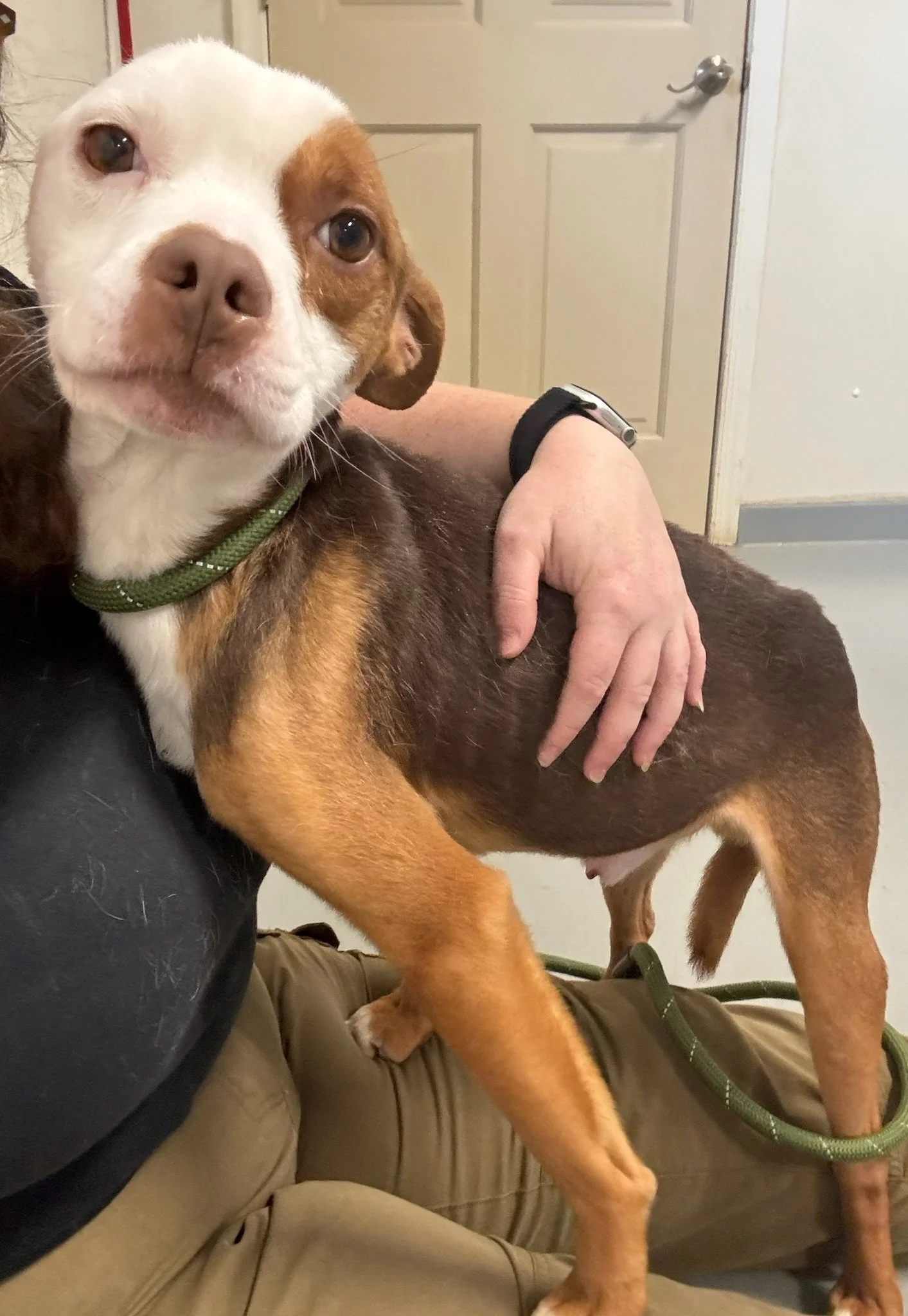 Now, an update on 6 dogs that Animal Control seized in March 2025:  Their owner was charged with cruelty and neglect.  Even though he was found guilty at his original hearing, he appealed several times and eventually requested a trial by jury.  The j