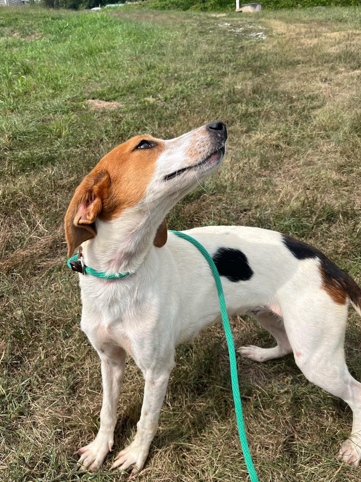Elinor is very sweet and playful.
