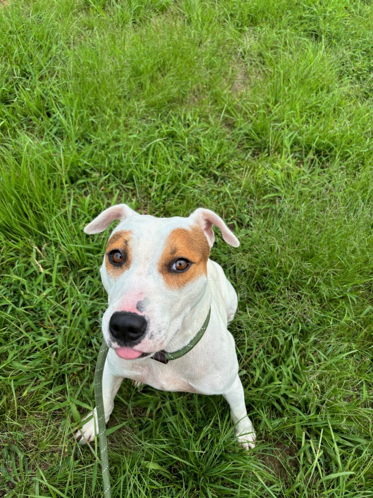 Melody looking pretty!