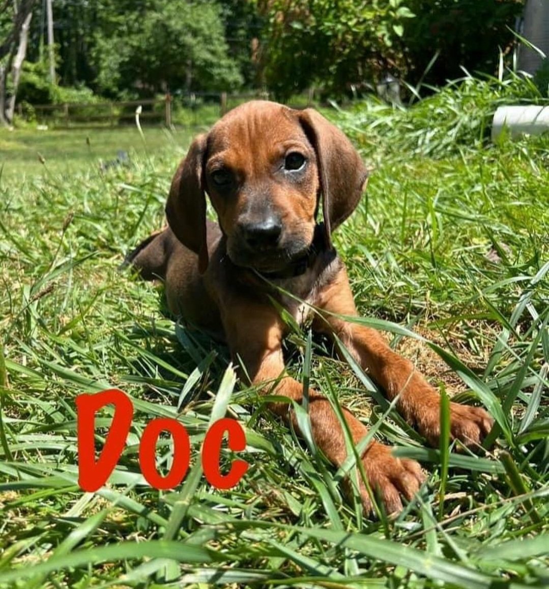 Doc