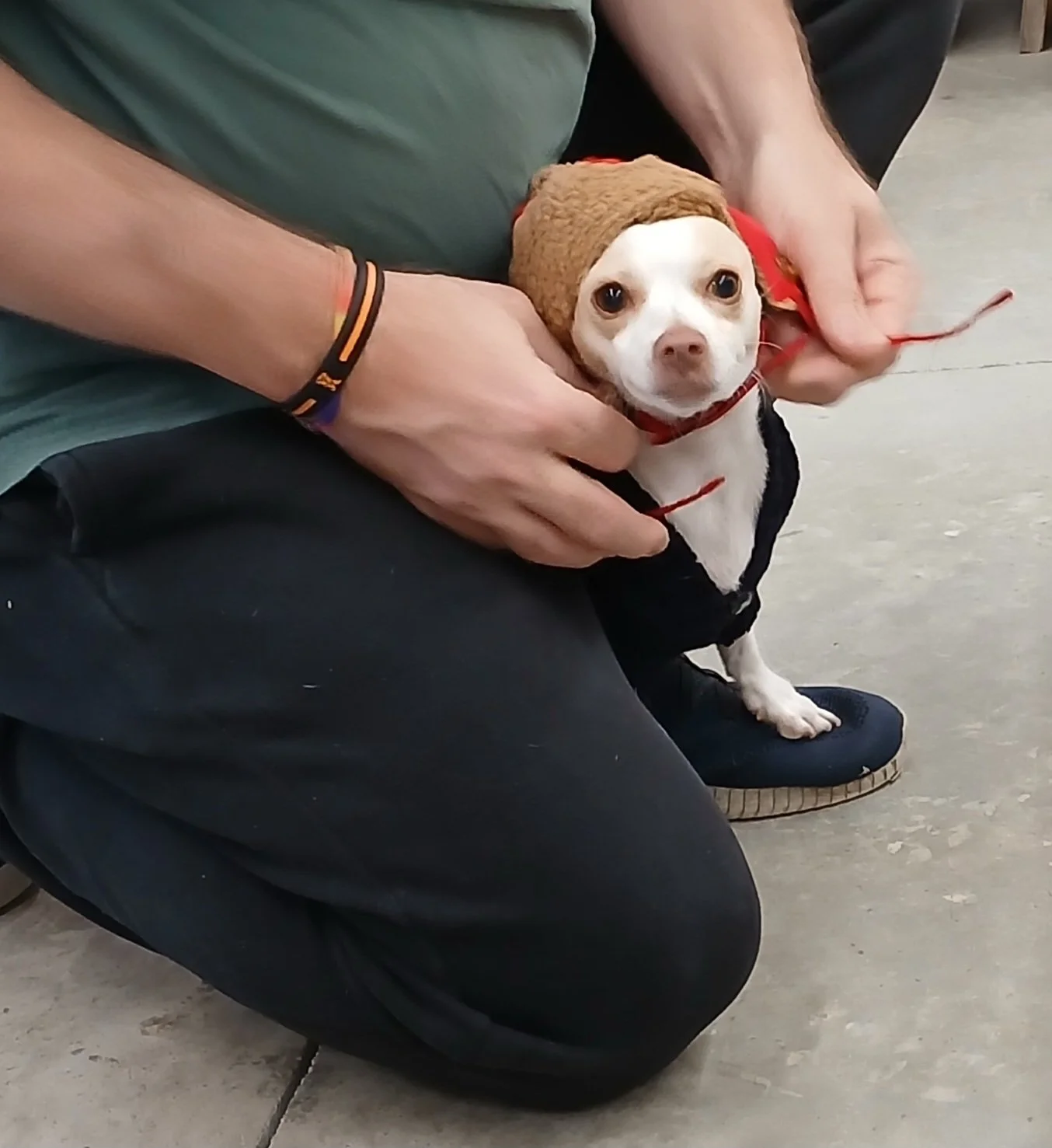 Hazel looking adorable!