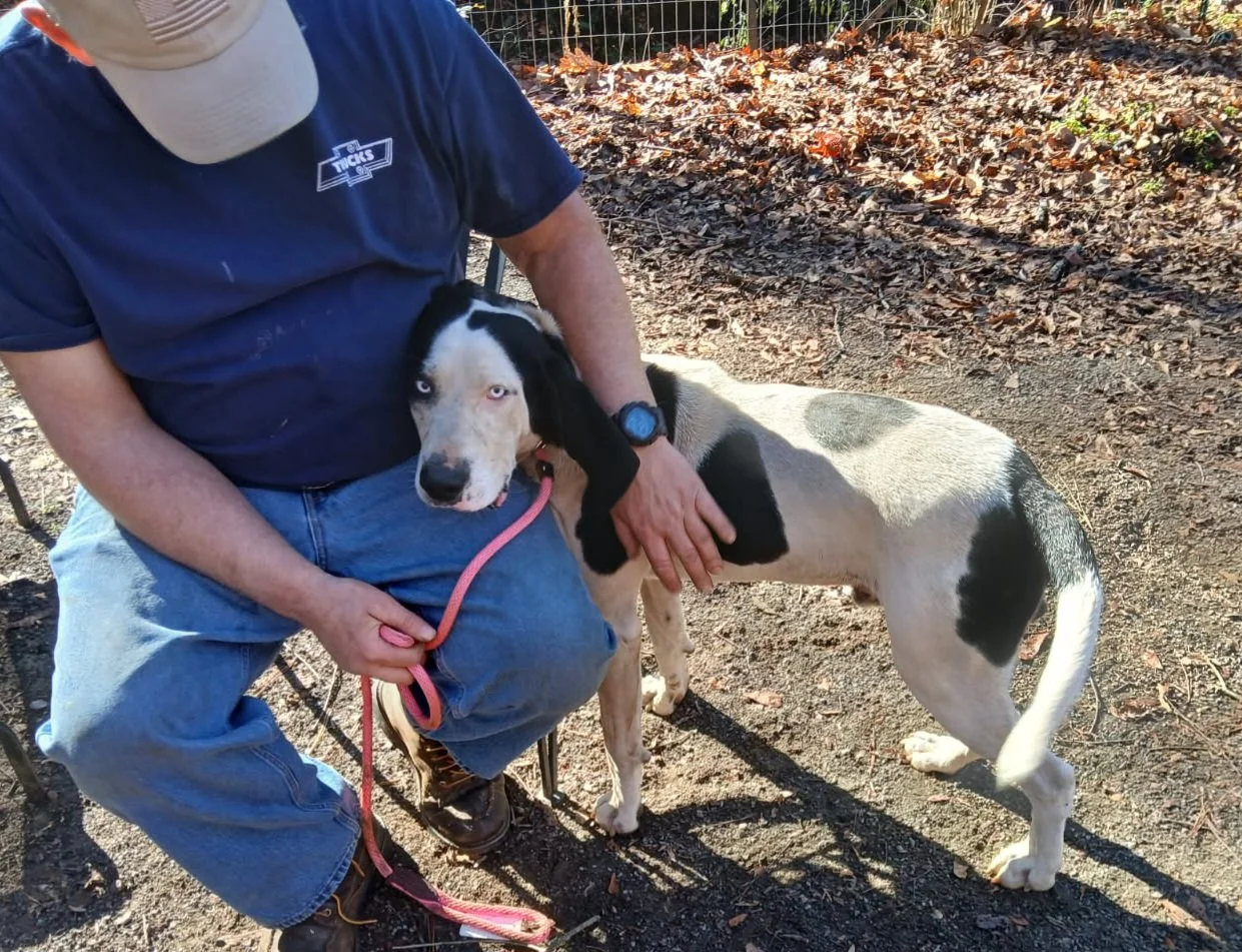 Pongo loving on Donald Bell!
