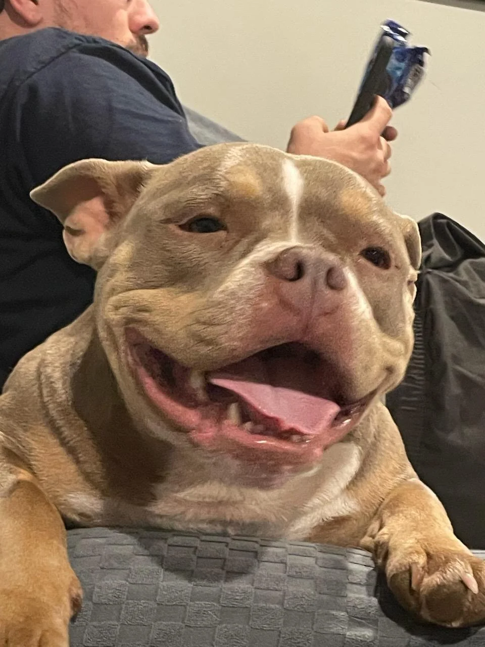 Bailey looking happy beyond words!