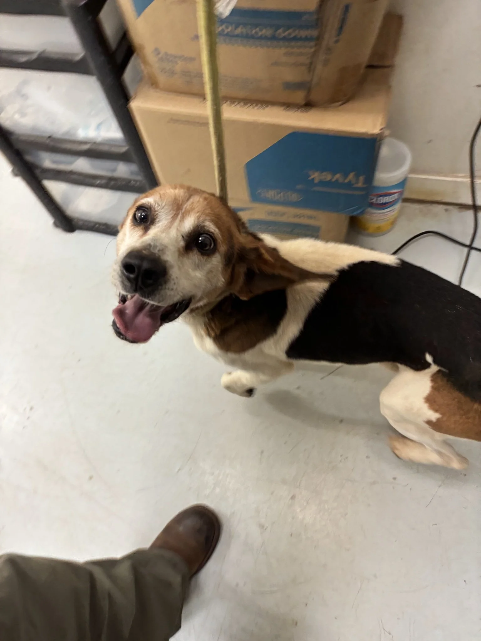 Clayton - a good photo showing his jolly nature! 