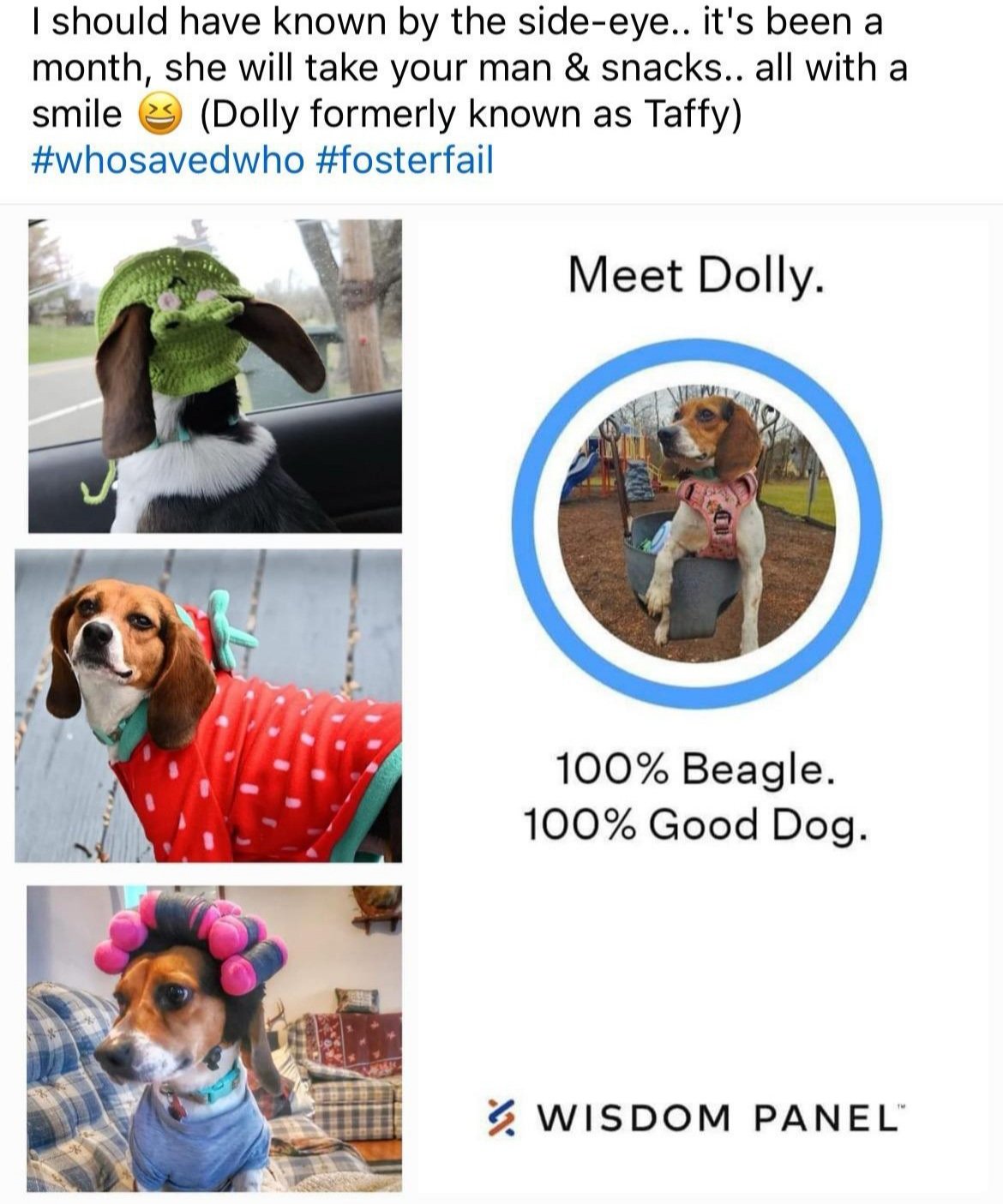 Dolly's mom Facebook posts!