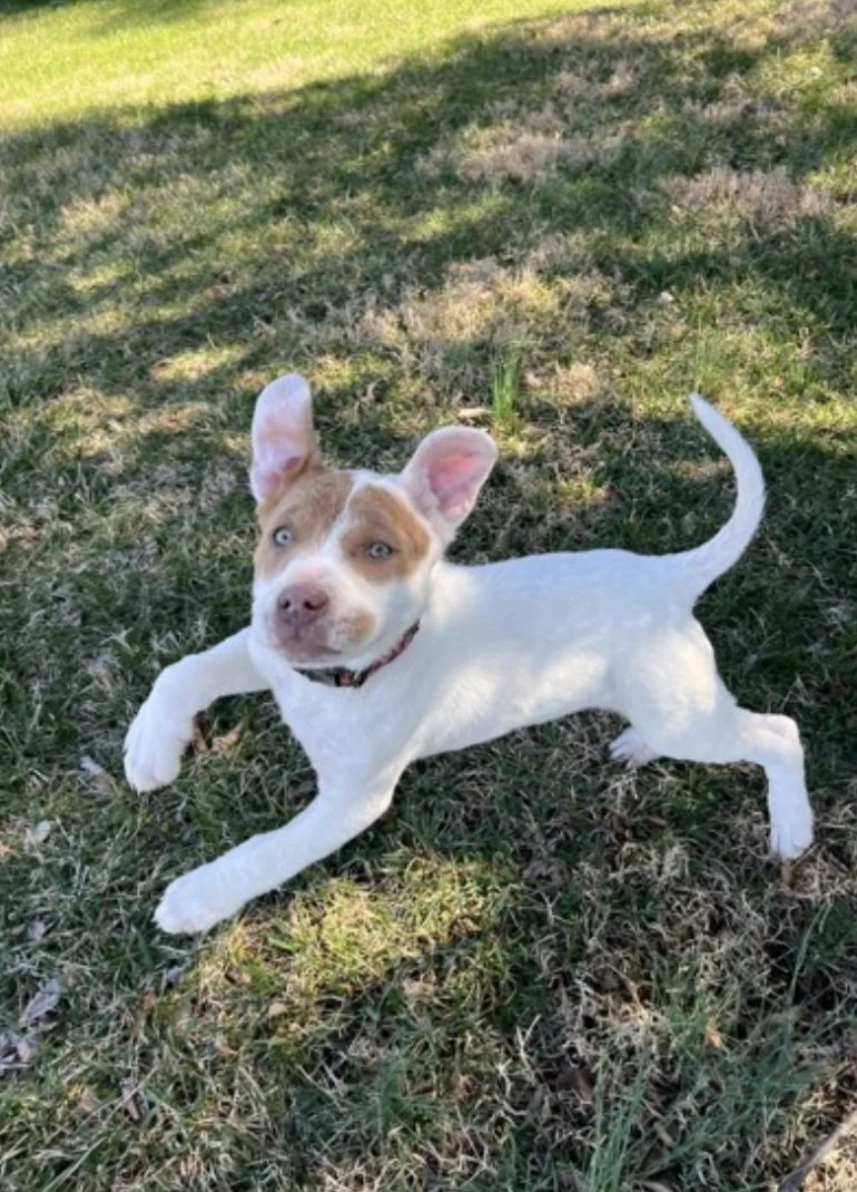 Star - March 2025 - looking too cute.