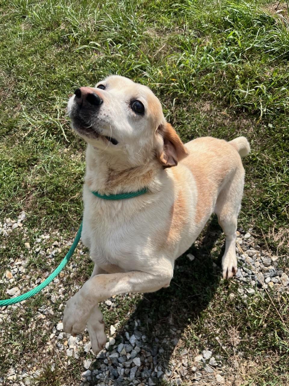 Lester happy to be loved and appreciated!