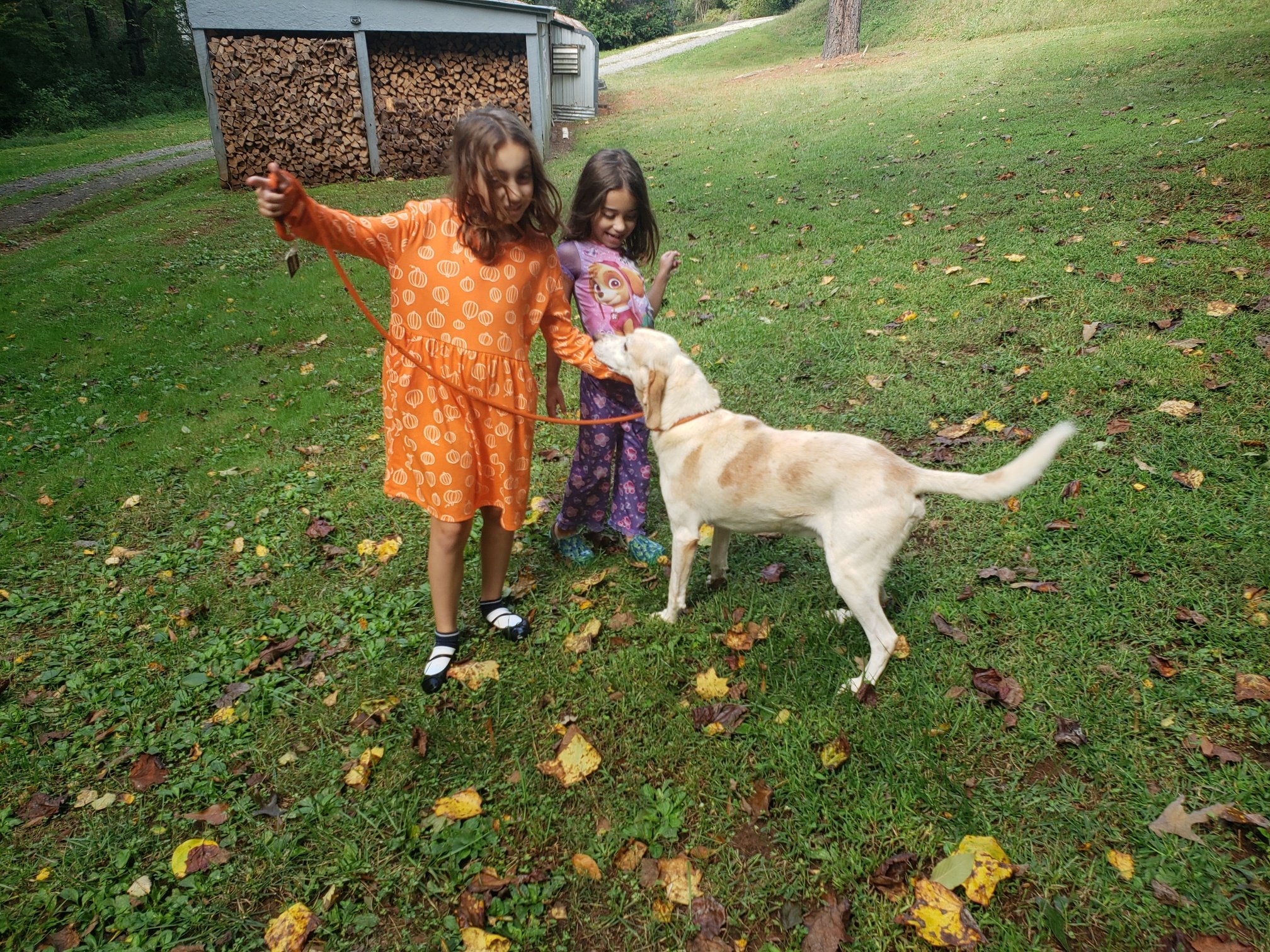 Lester happy to be walked by Charlotte and Maggie!