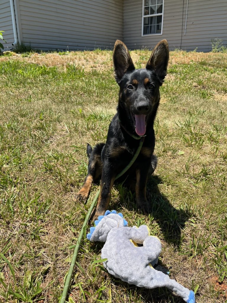 Sabrina happy to have a toy!