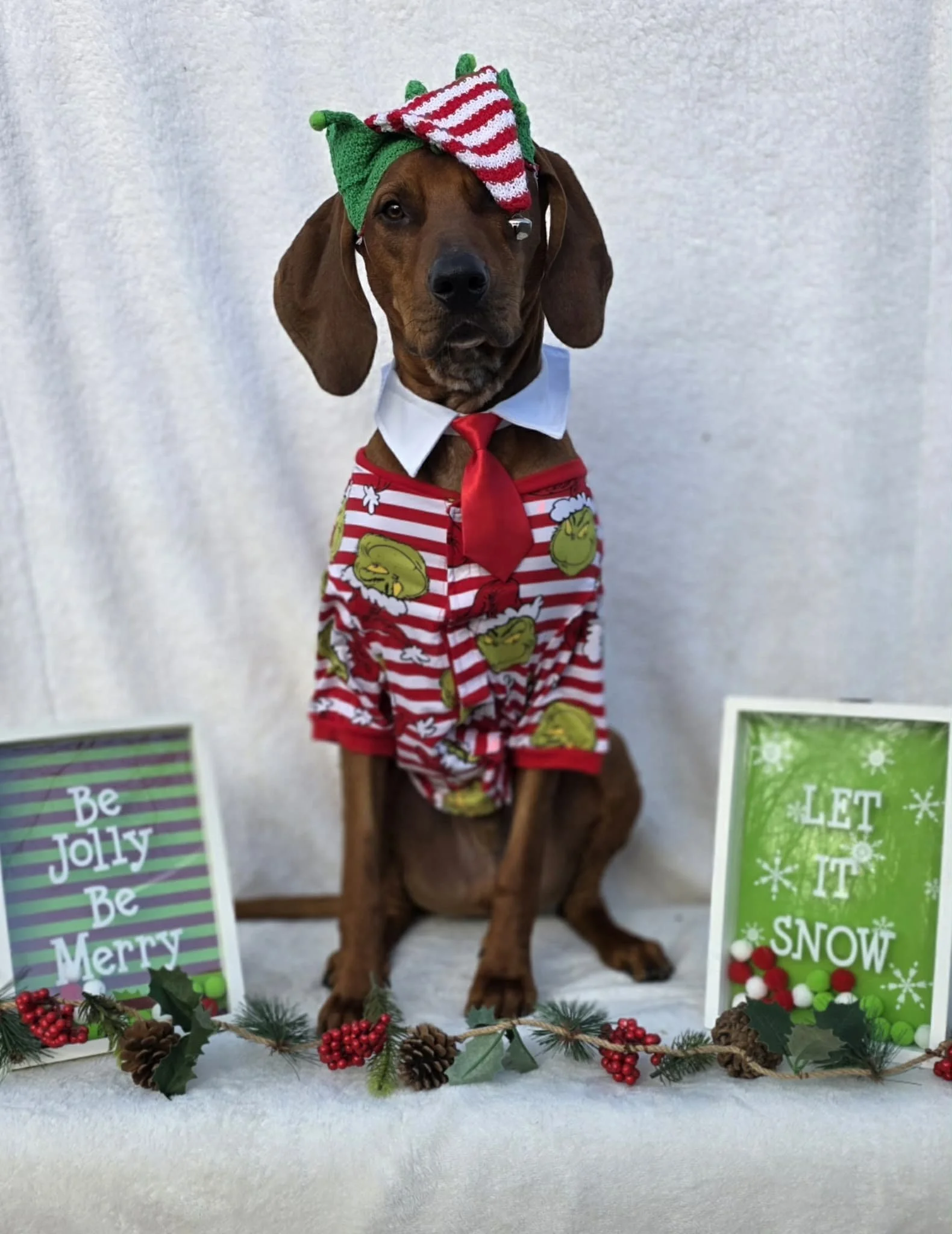 Preacher looking beyond adorable and being very patient!