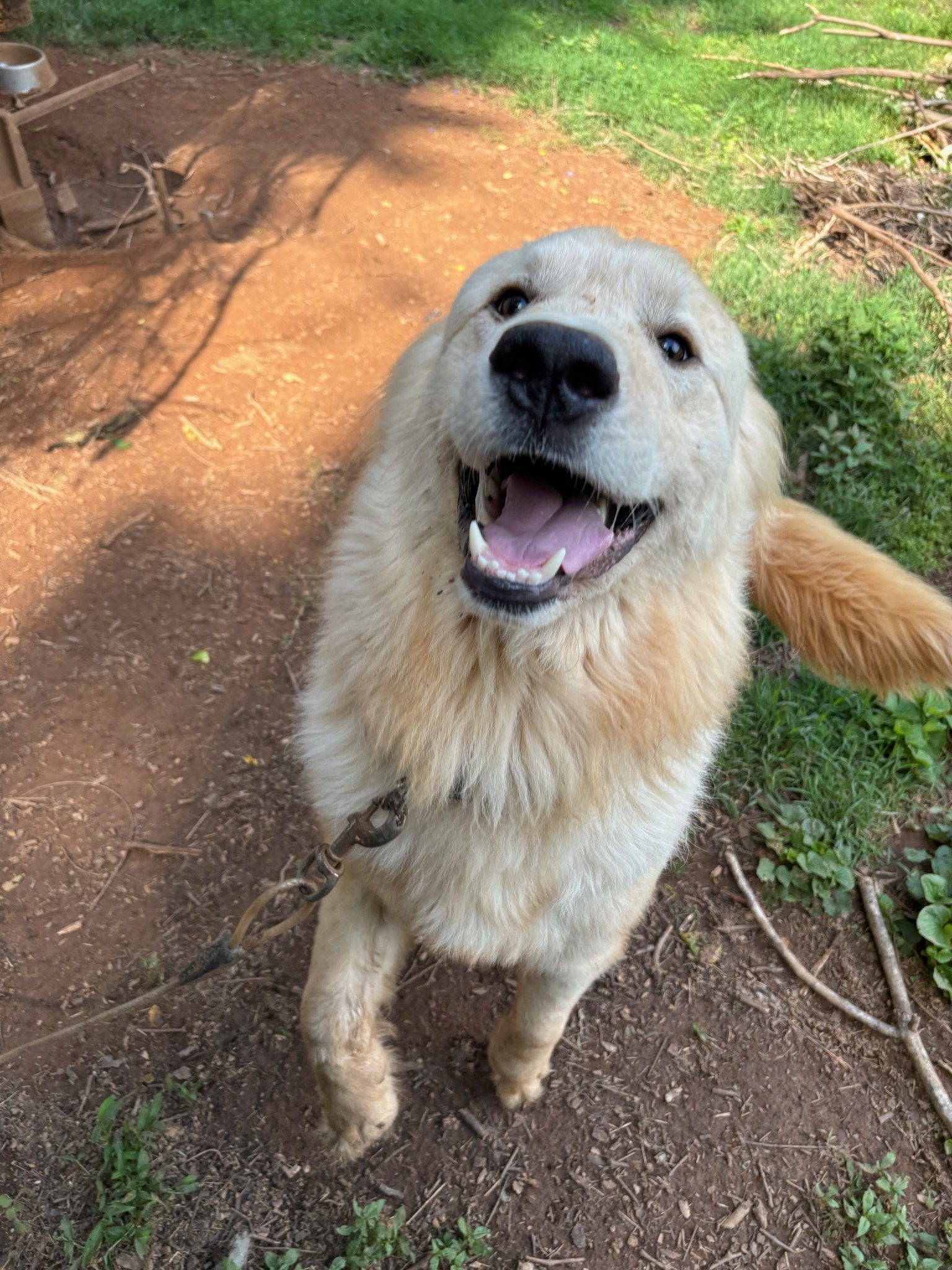Sunny showing a very big smile!