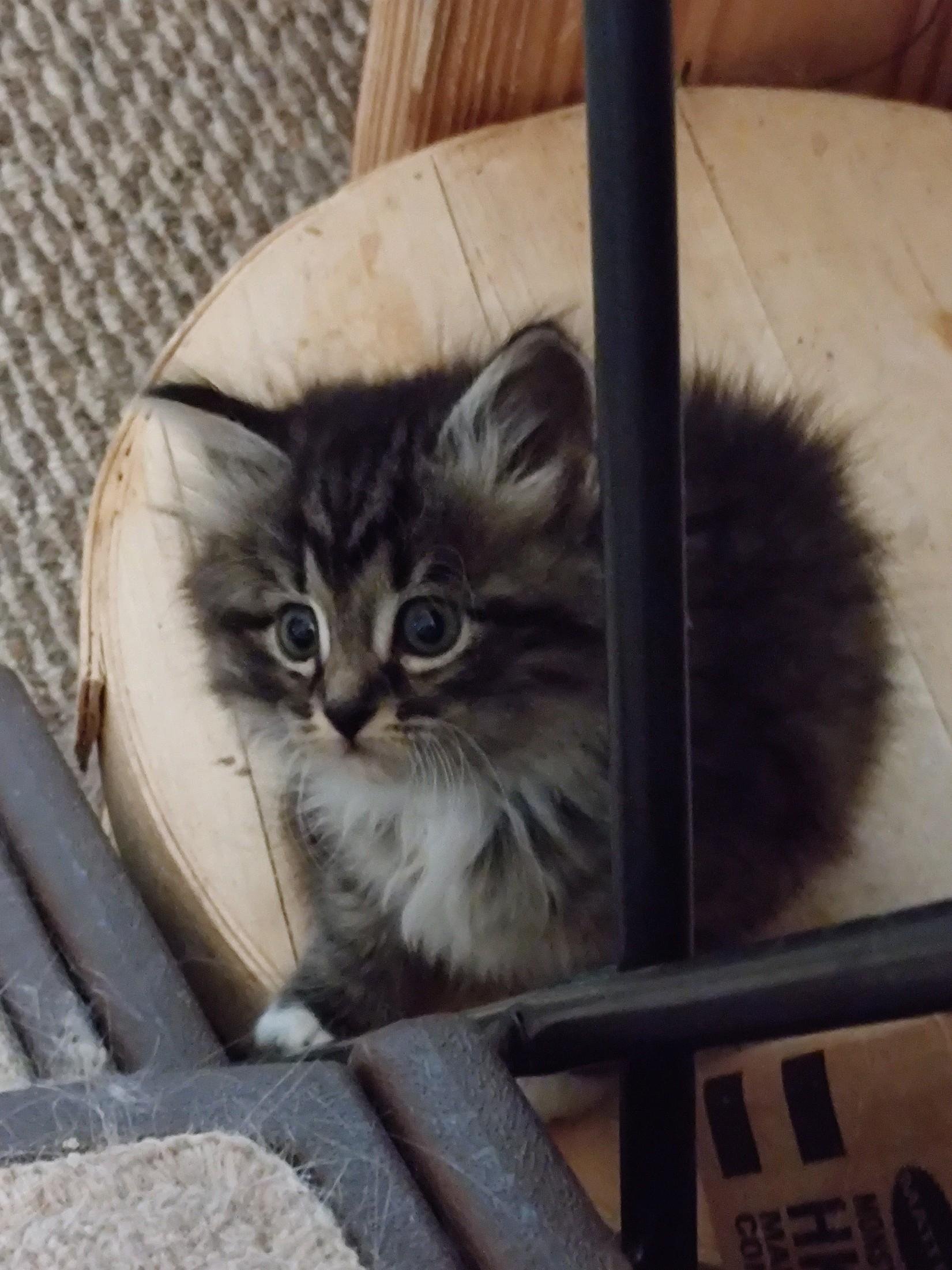 Mayflower looking too cute for words.